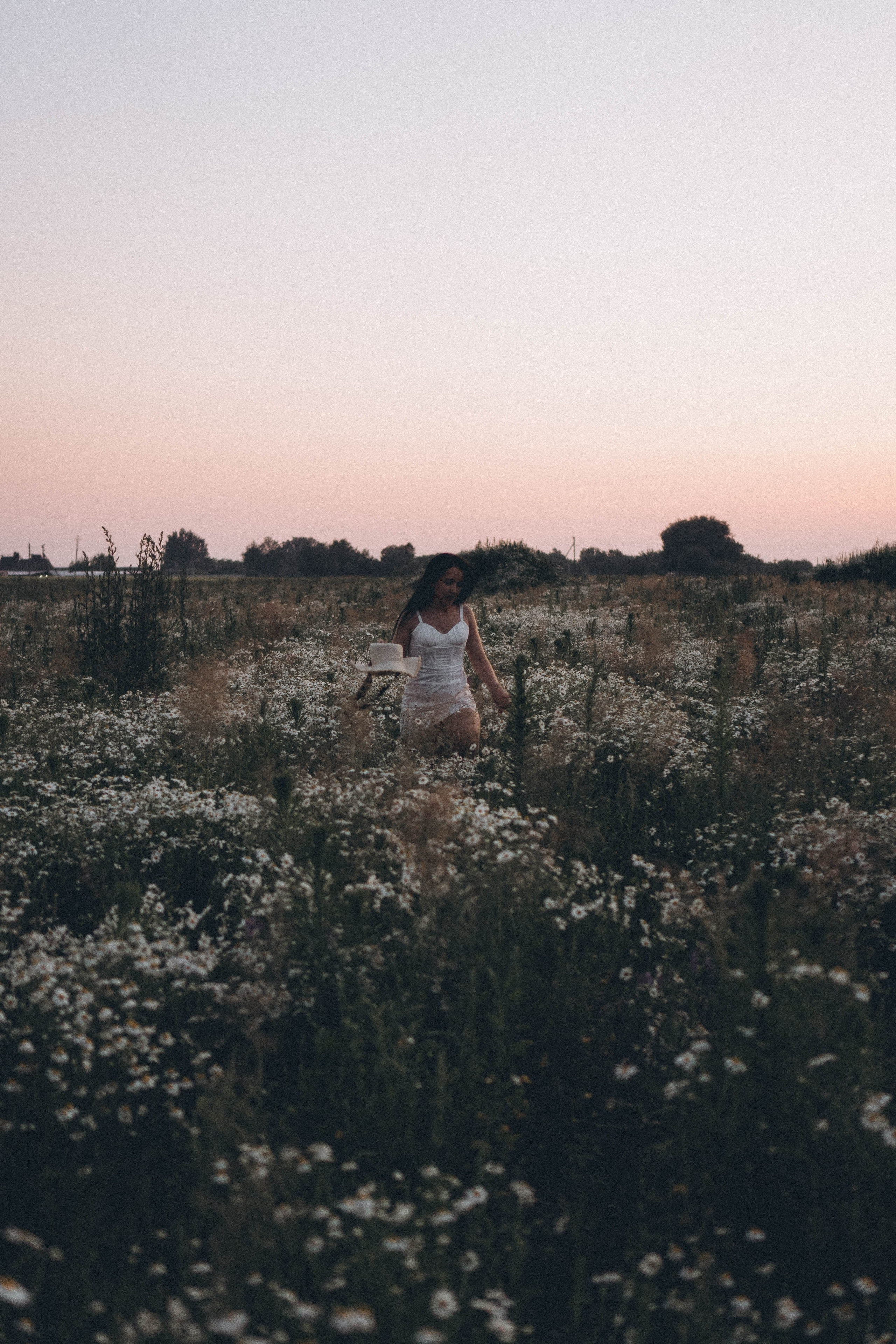 Ромашковое поле. Профессиональный фотограф, Санкт-Петербург — Виктория Богомолова
