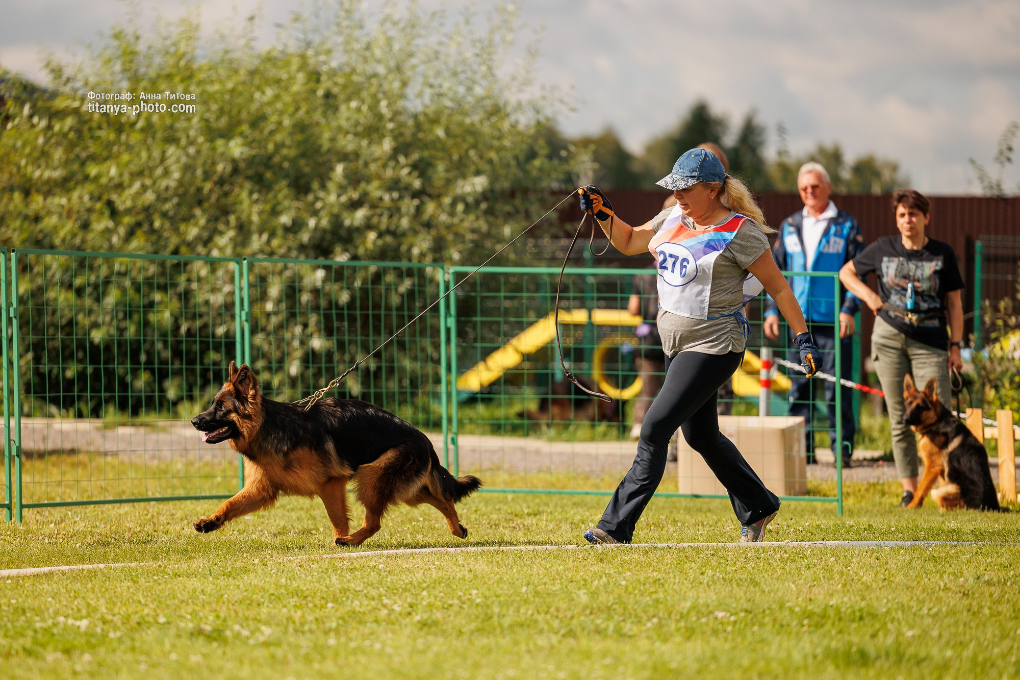 Немецкие овчарки: фото из рингов и вне ринга, мутпроба (фотографии с выставок). Фотограф собак, фотограф-анималист Аня Титова (Titanya). Москва