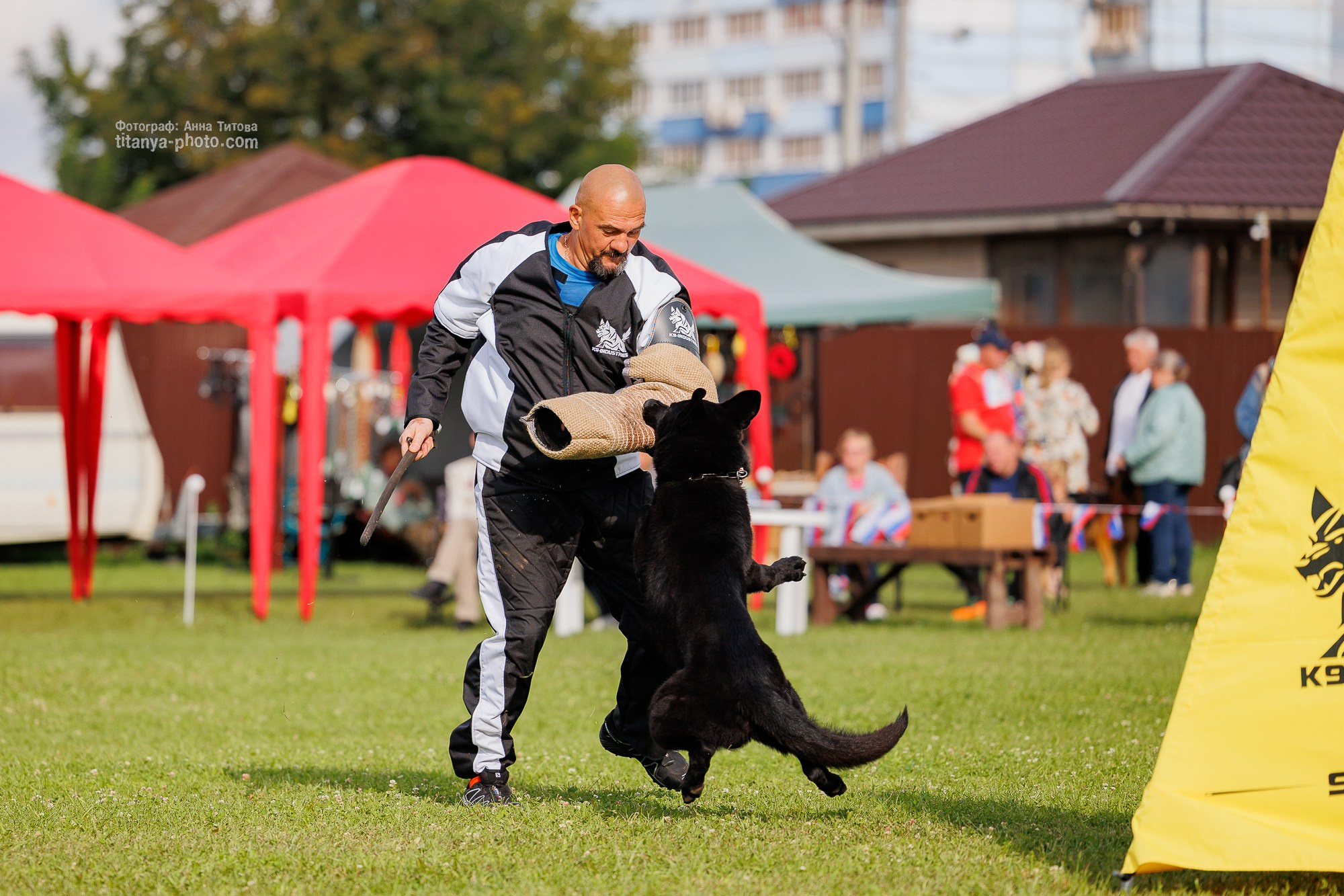 Немецкие овчарки: фото из рингов и вне ринга, мутпроба (фотографии с выставок). Фотограф собак, фотограф-анималист Аня Титова (Titanya). Москва