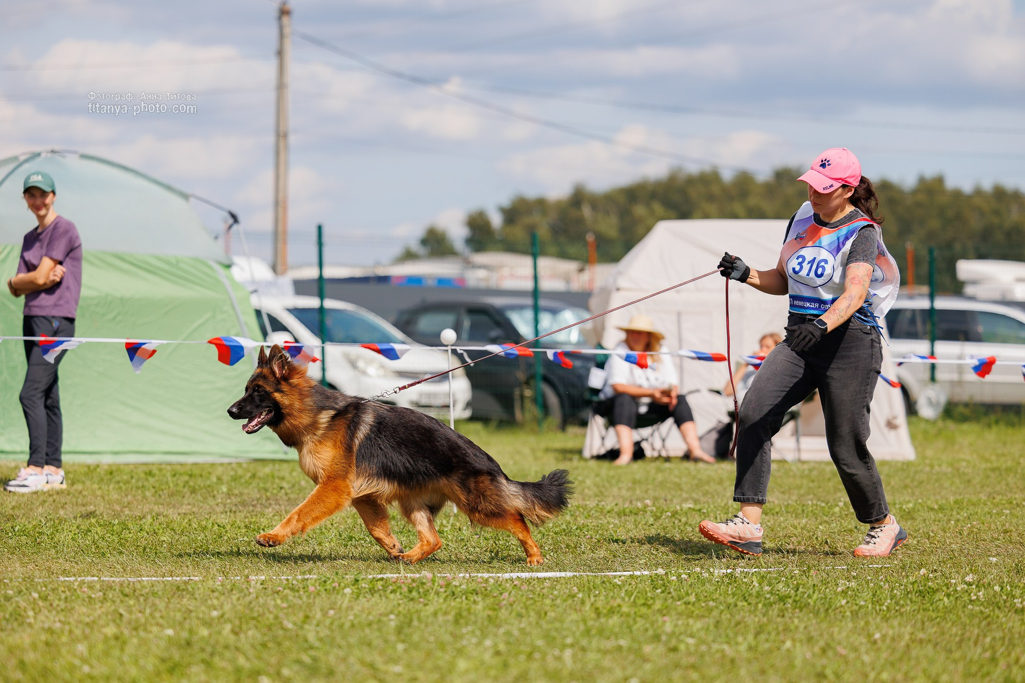 Немецкие овчарки: фото из рингов и вне ринга, мутпроба (фотографии с выставок). Фотограф собак, фотограф-анималист Аня Титова (Titanya). Москва