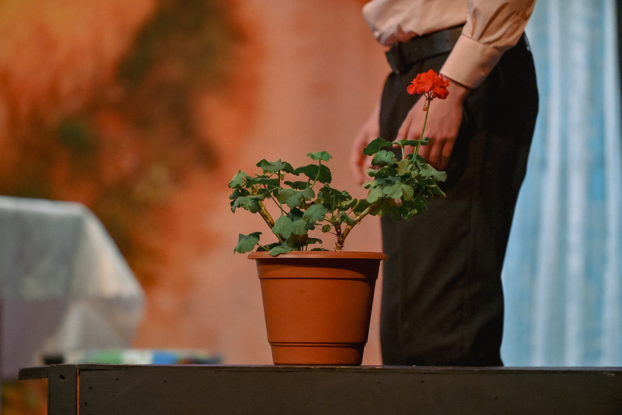 «Разреши тебя любить» в Театре Артиста 24.11.2023. Репортажный профессиональный фотограф-любитель