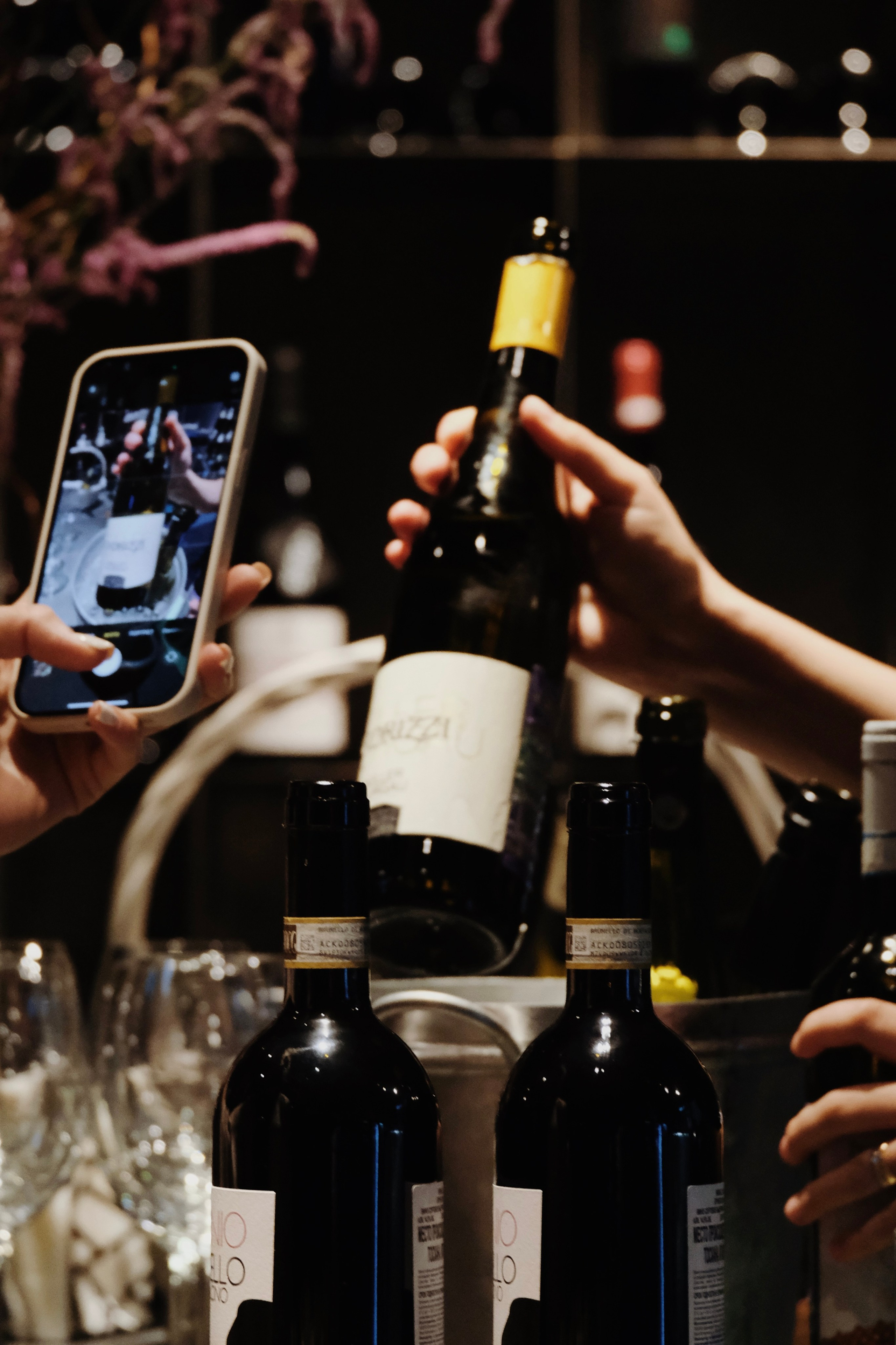 Винотека. Татьян гертье