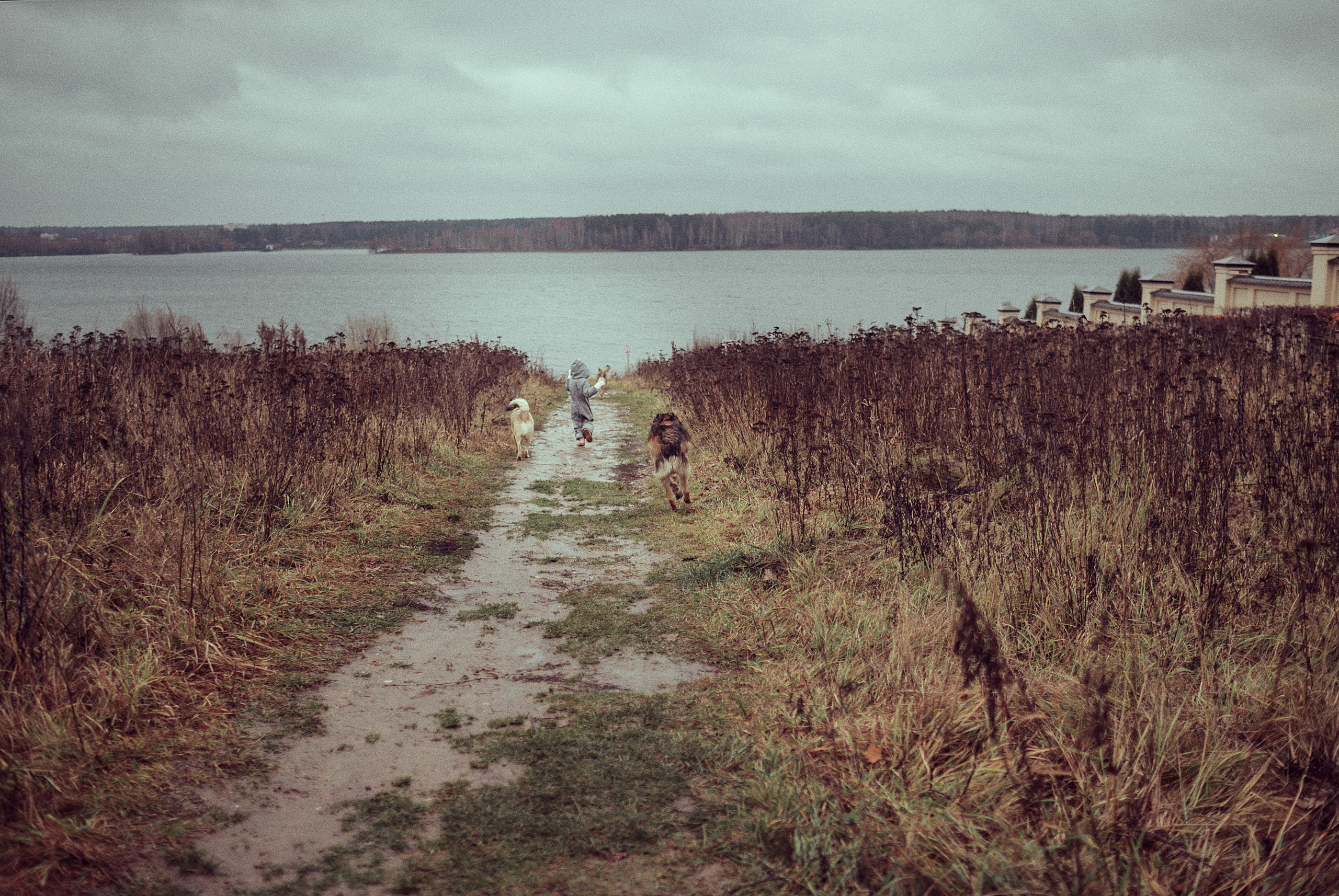 Наташа, Настя, Дима. Семейный фотограф в Москве Натали Момот