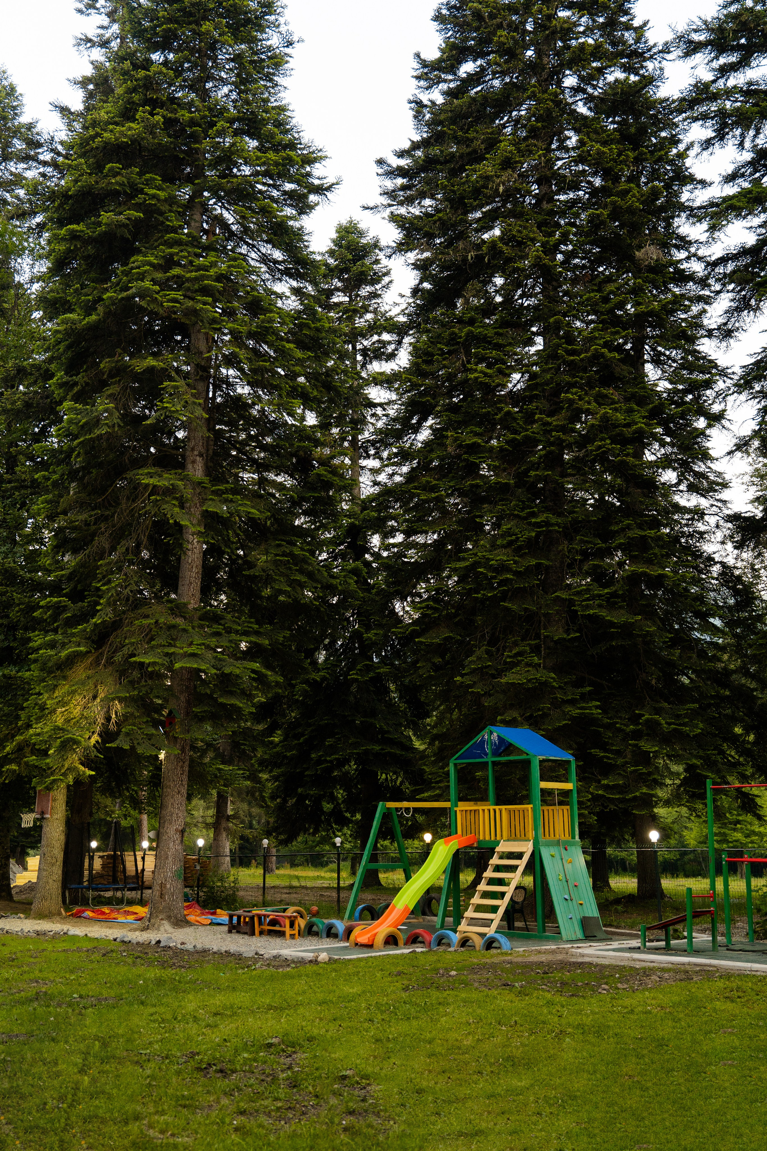 Green Park. Фотограф и видеограф Елена Хмелевская