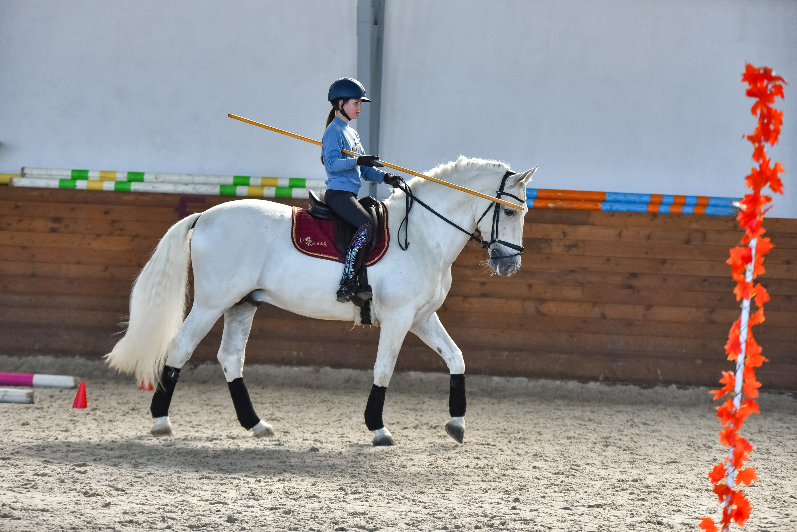 Репортажная съемка конных мероприятий. Конный фотограф из Москвы Ирина Бондаркова