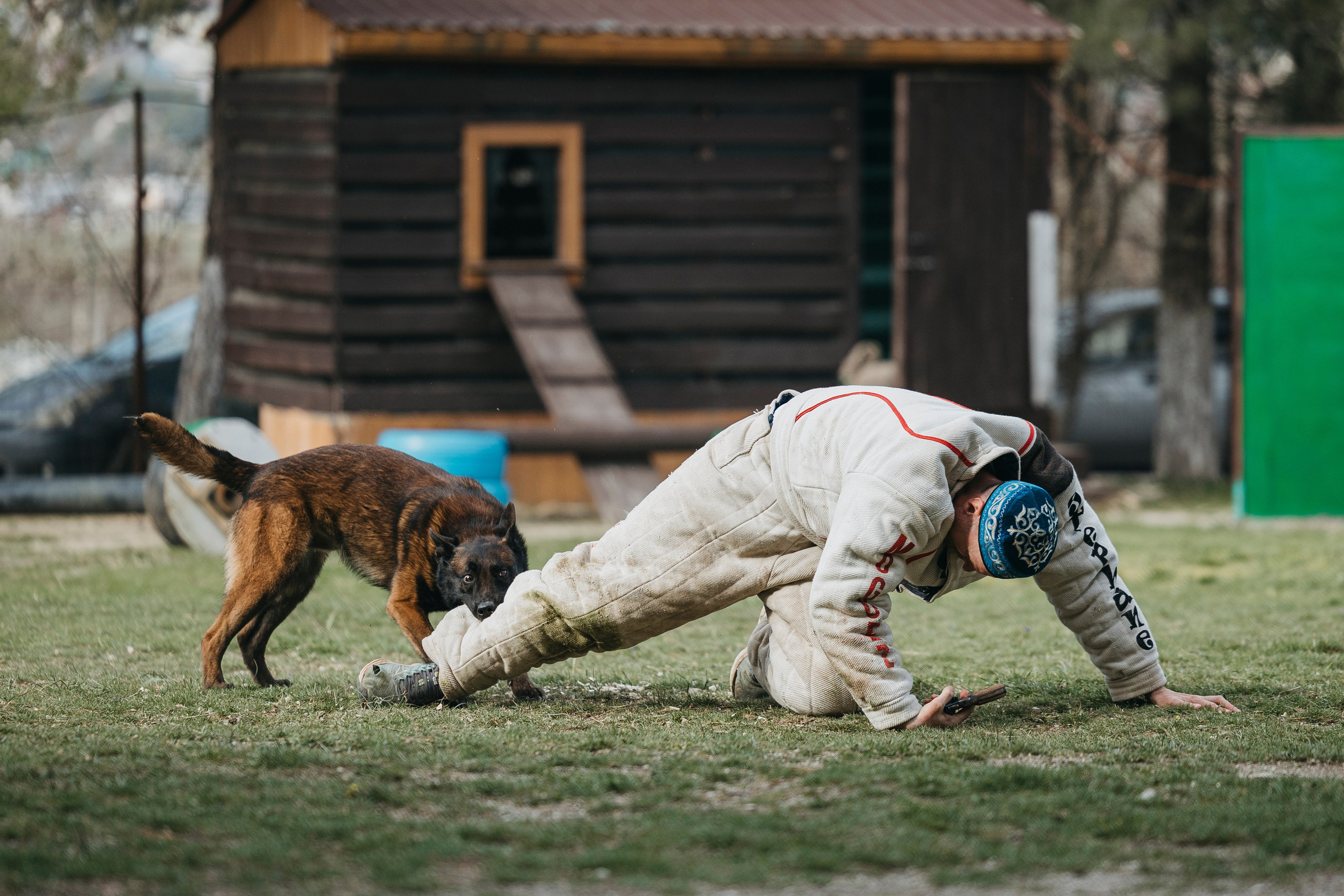 Геленджик Мондьоринг. Фотограф-анималист Анна Маринич