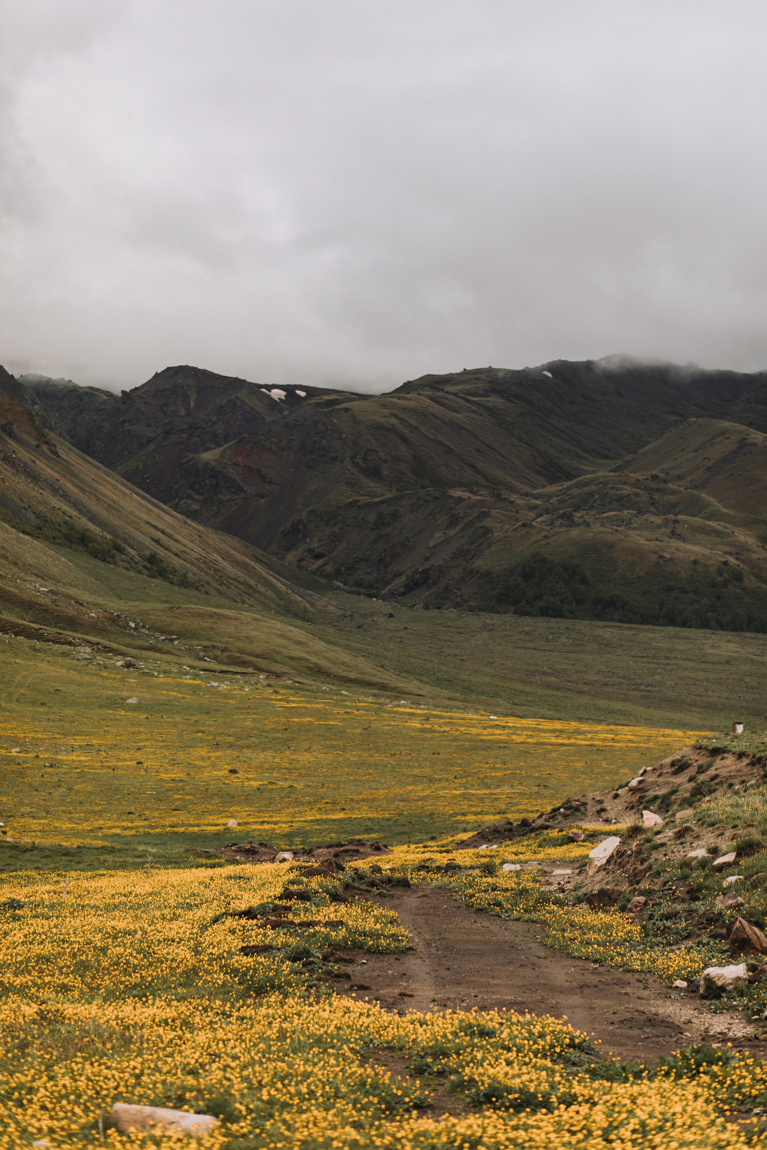 ЛЮТИКОВОЕ ЦАРСТВО. Фотограф Настя Конник | Пятигорск | Эльбрус | Домбай | Архыз | Видеограф КМВ