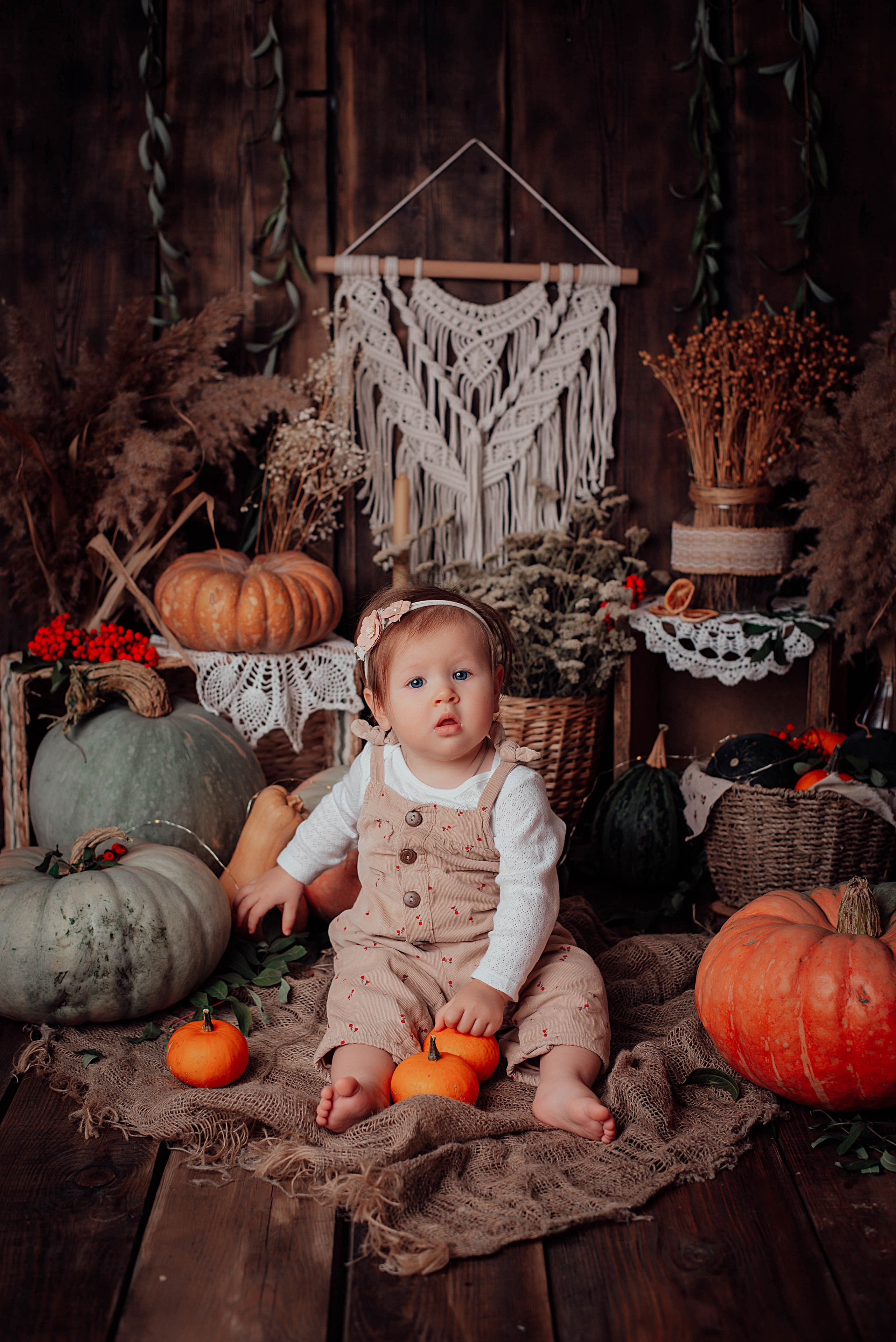 Тыквенный фотопроект. Семейный и детский фотограф новорожденных Ульяновск