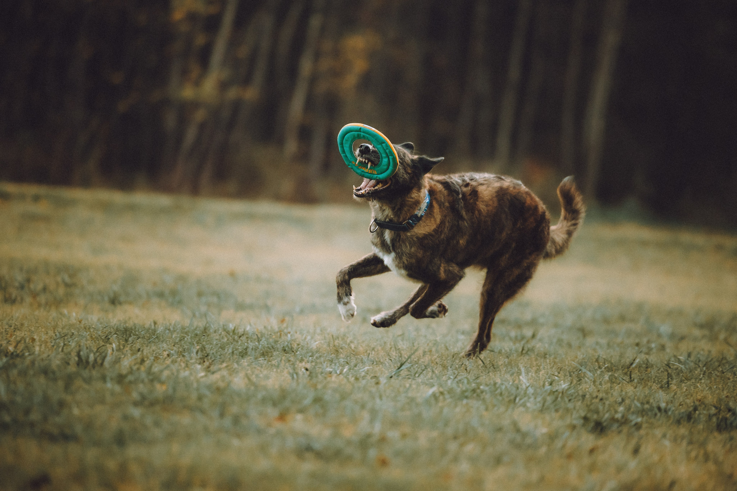 Рик, Джек и их семья