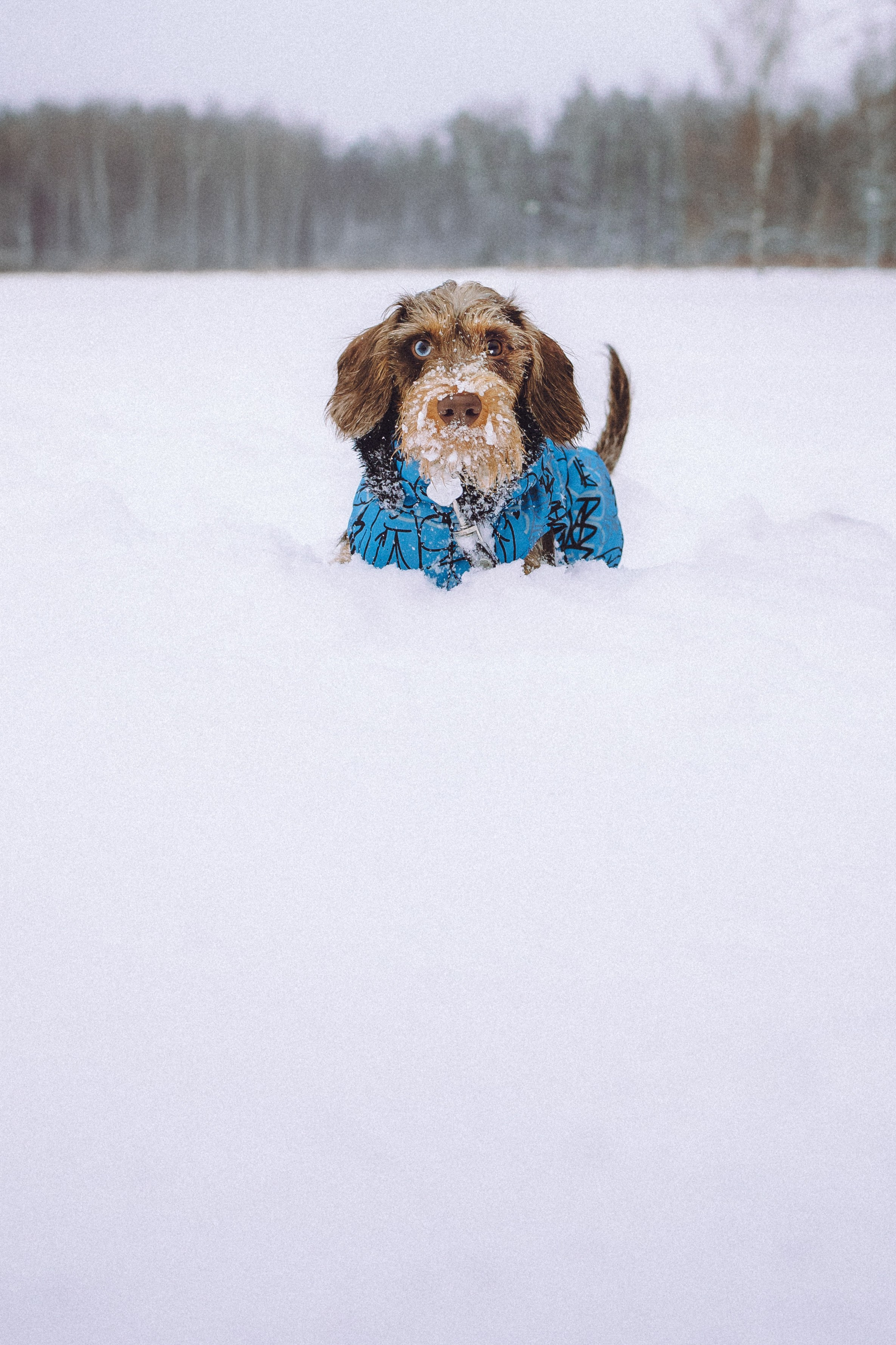 Каспер и его семья