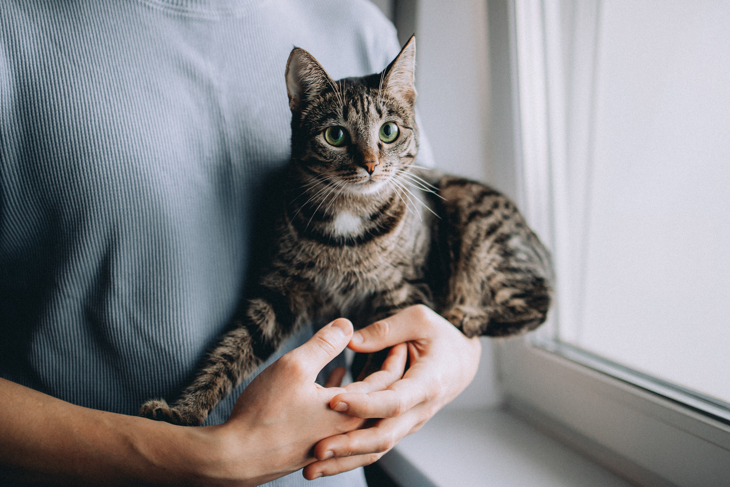 Рыся, Кепа и их семья