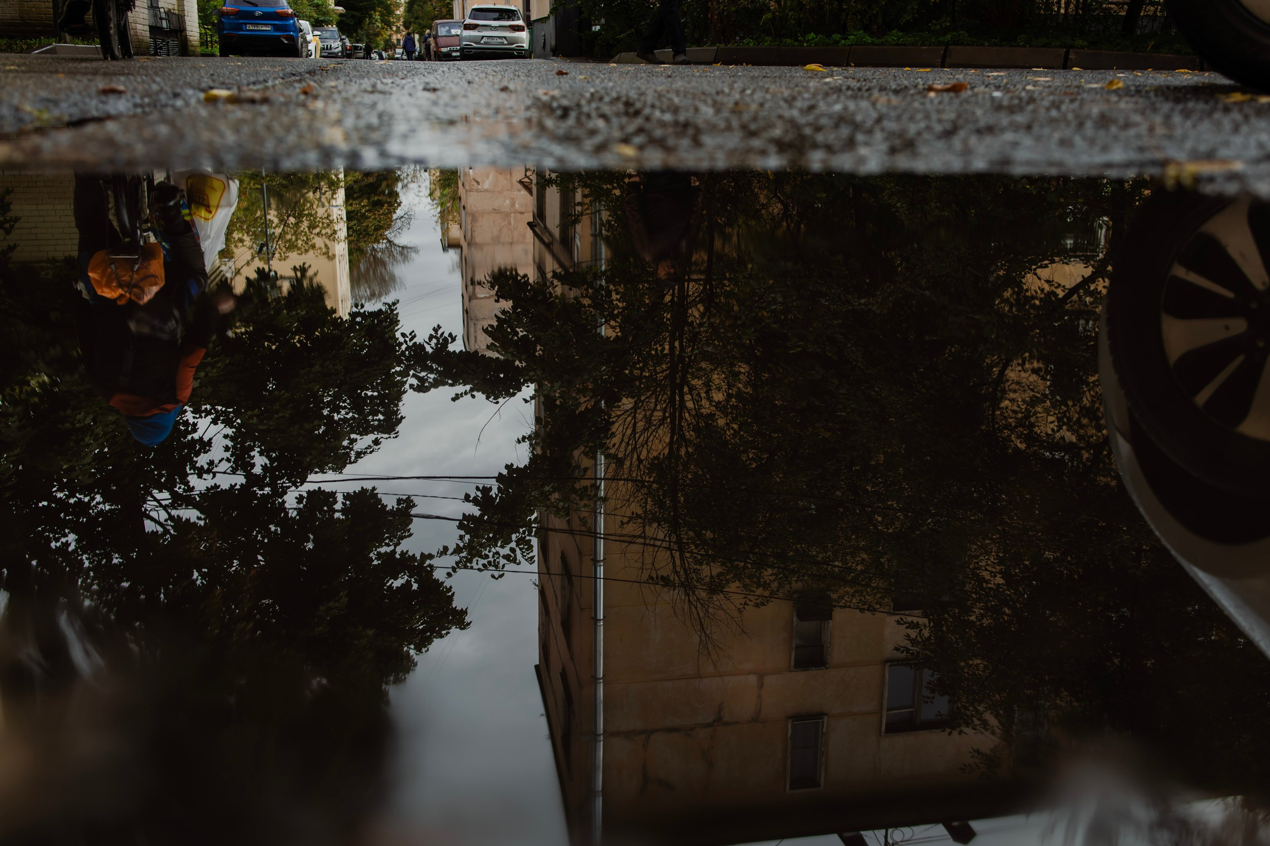 Reflections. Samid Ali Visual Artist