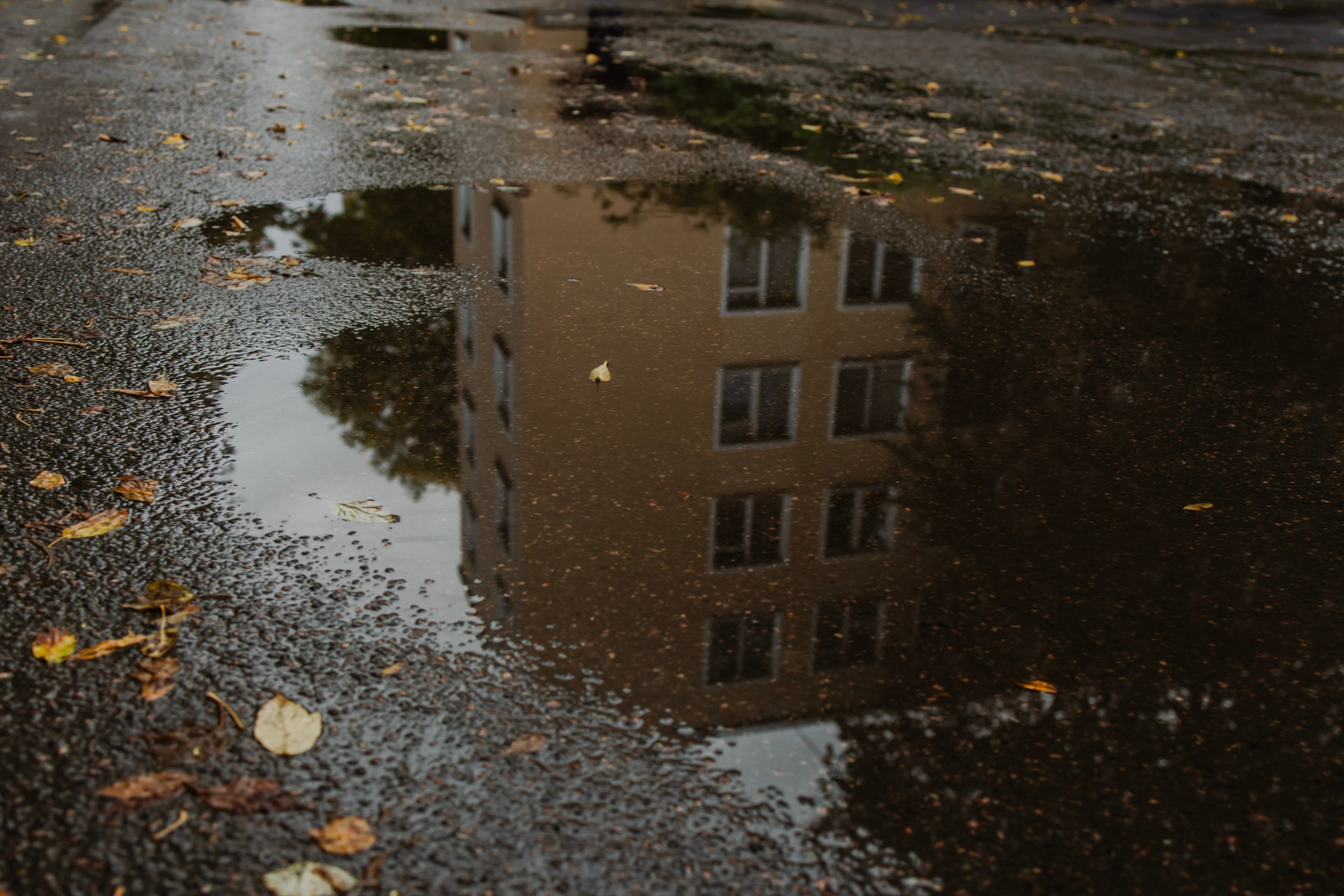 Reflections. Samid Ali Visual Artist