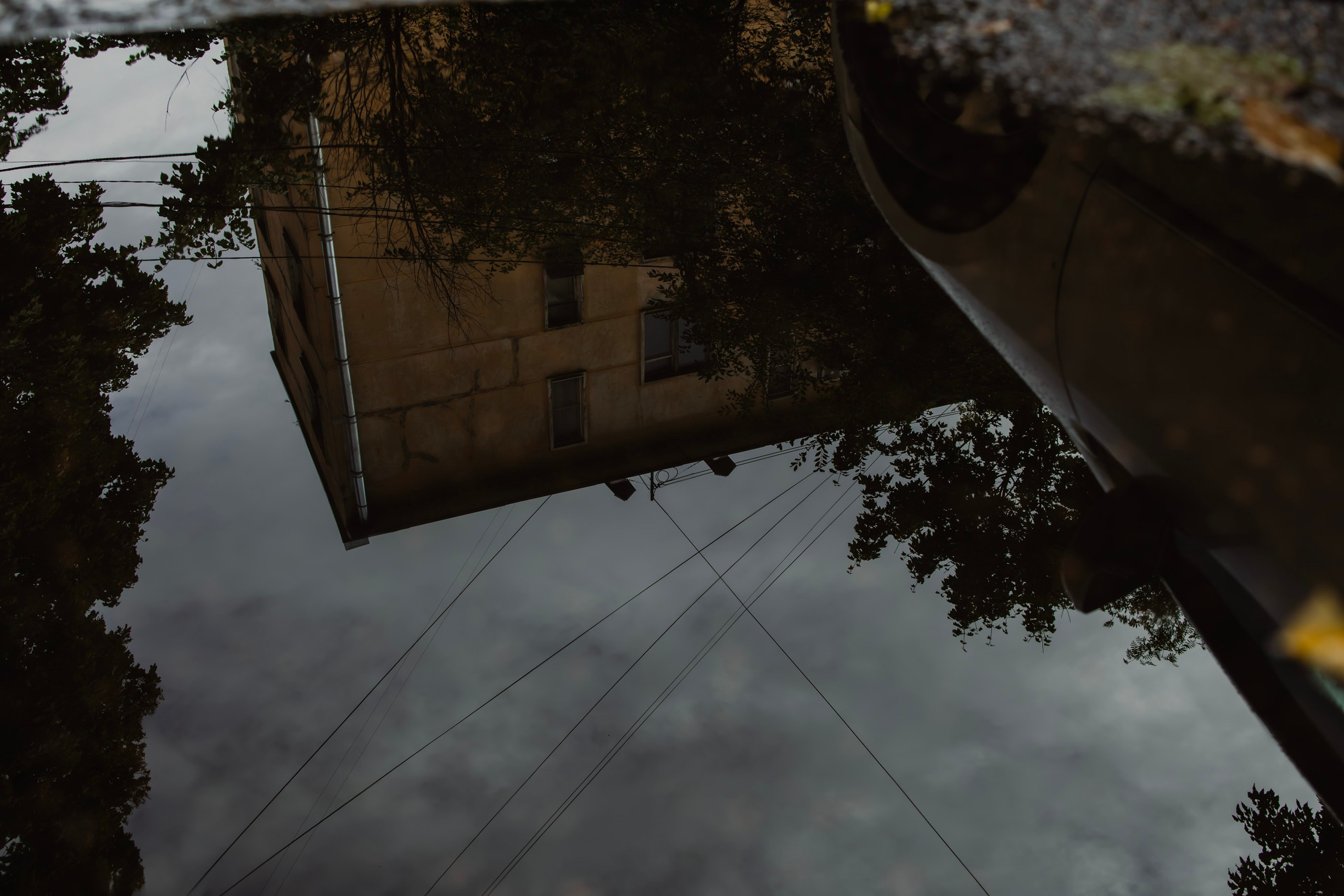 Reflections. Samid Ali Visual Artist