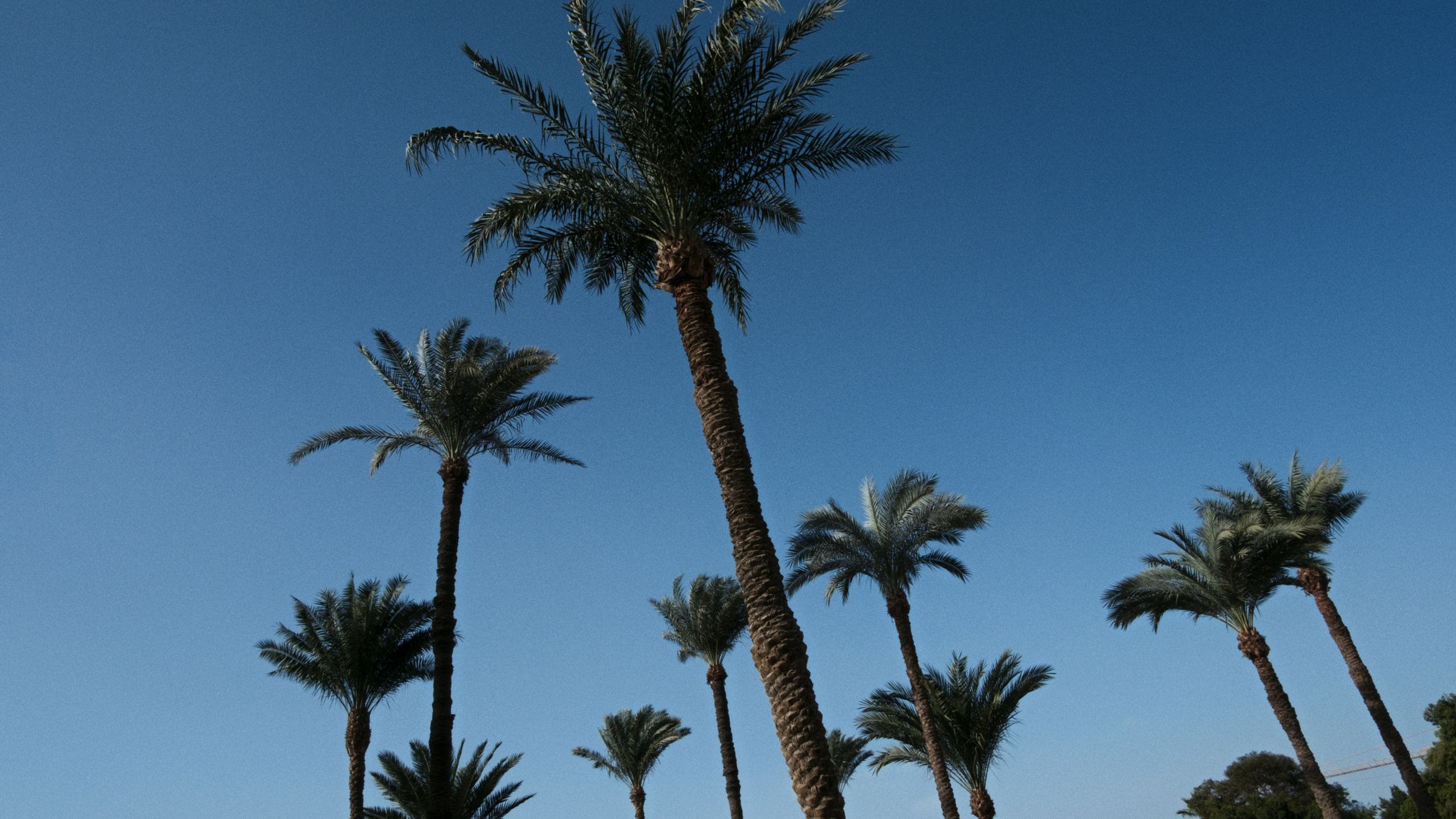 War Memorial Cemetery / Cairo, Egypt AW25. Фотограф Юрин Евгений