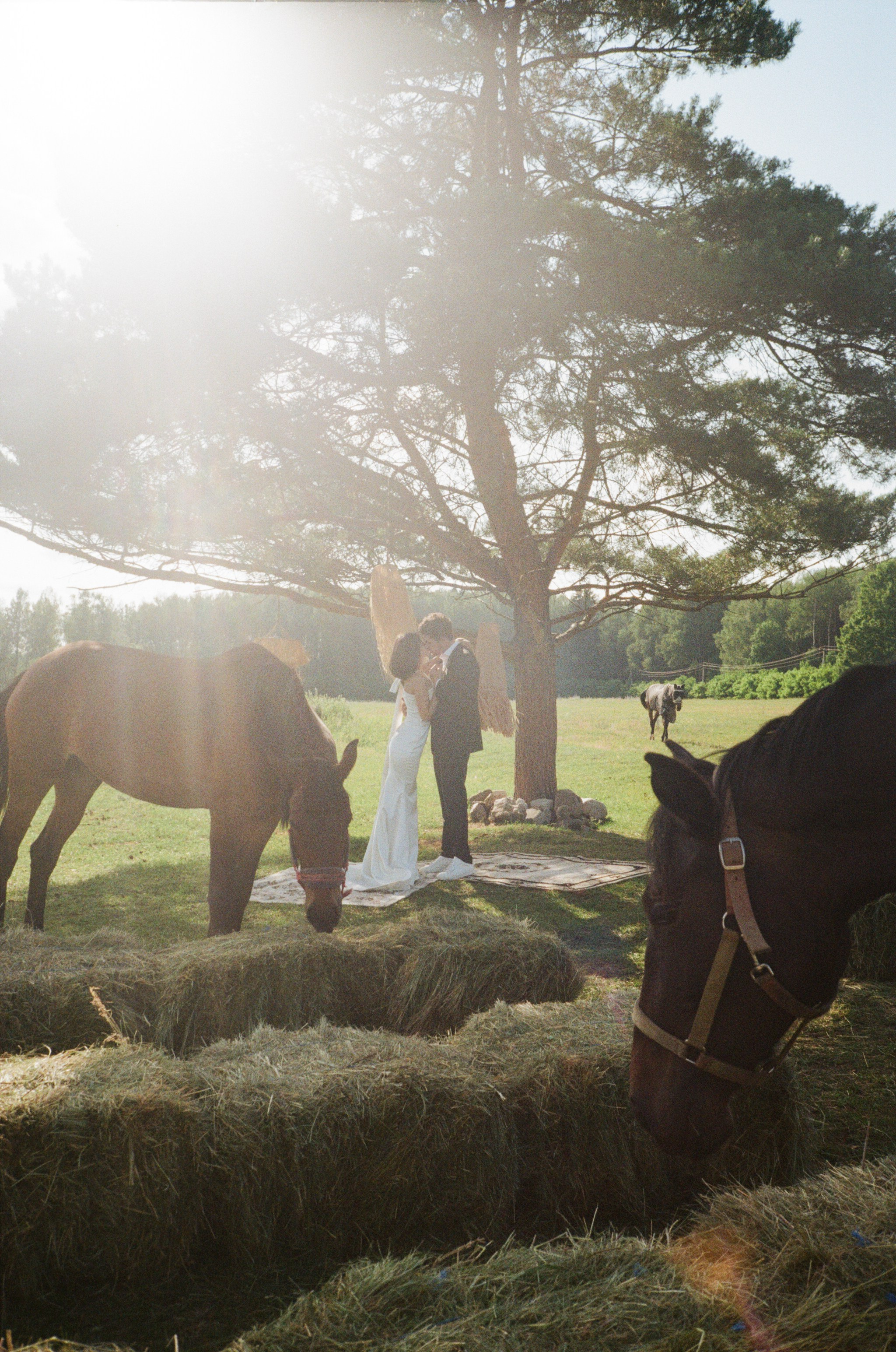 В кругу самых близких. Annbakhtina.com