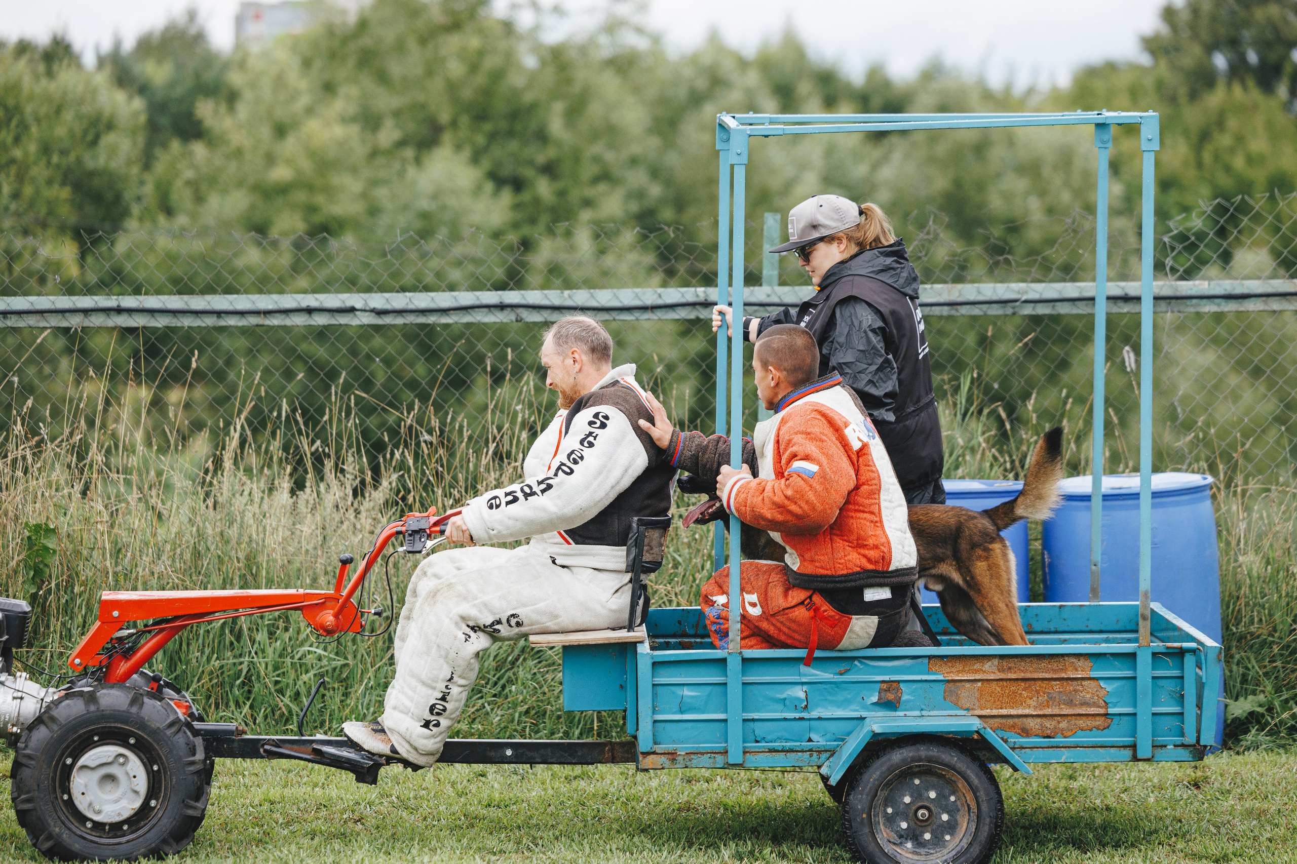 08.08.25-10.08.25 ЧР по мондьорингу г. Вологда. Фотограф-анималист Анна Маринич