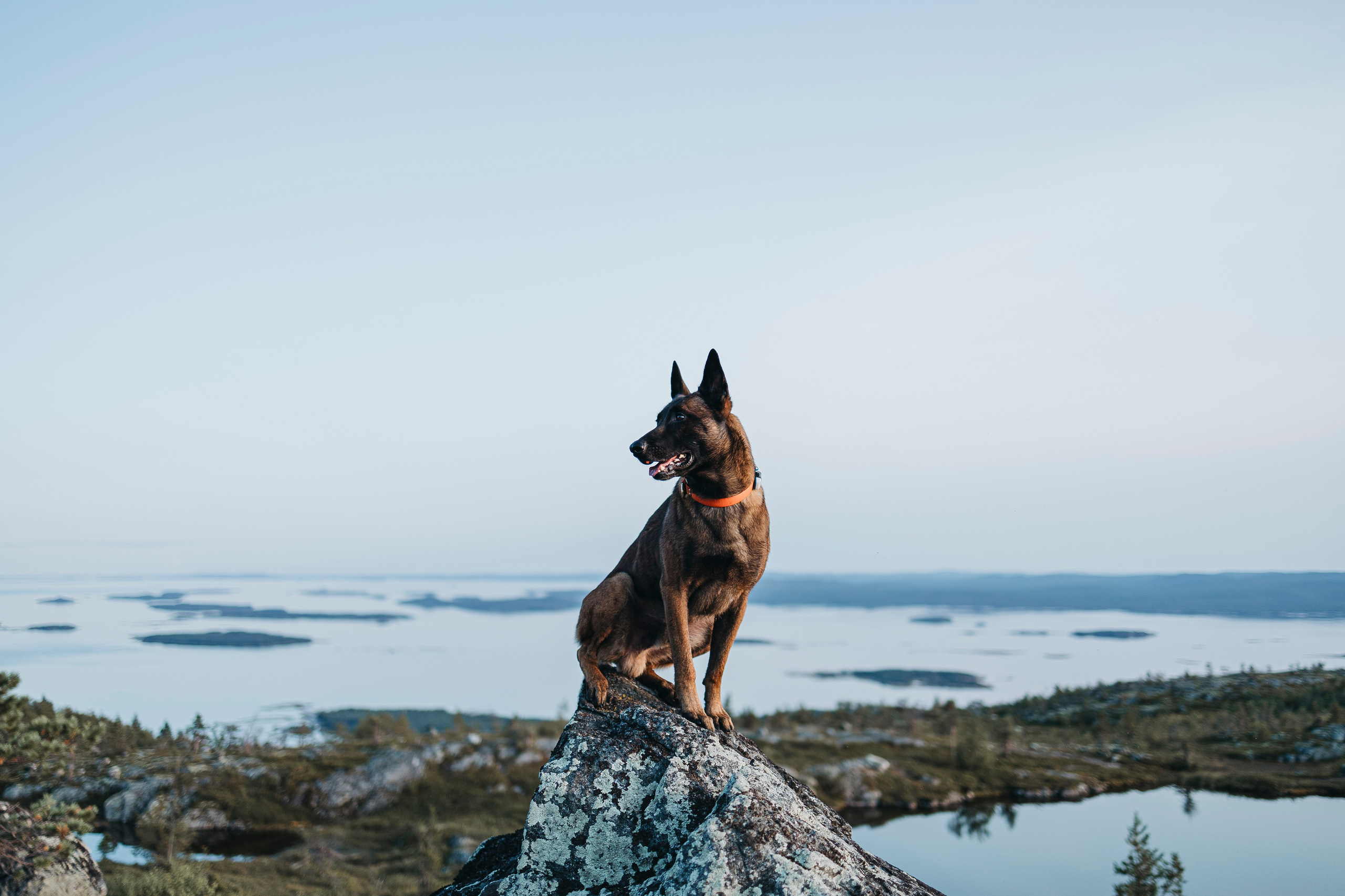 Горы. Фотограф-анималист Анна Маринич