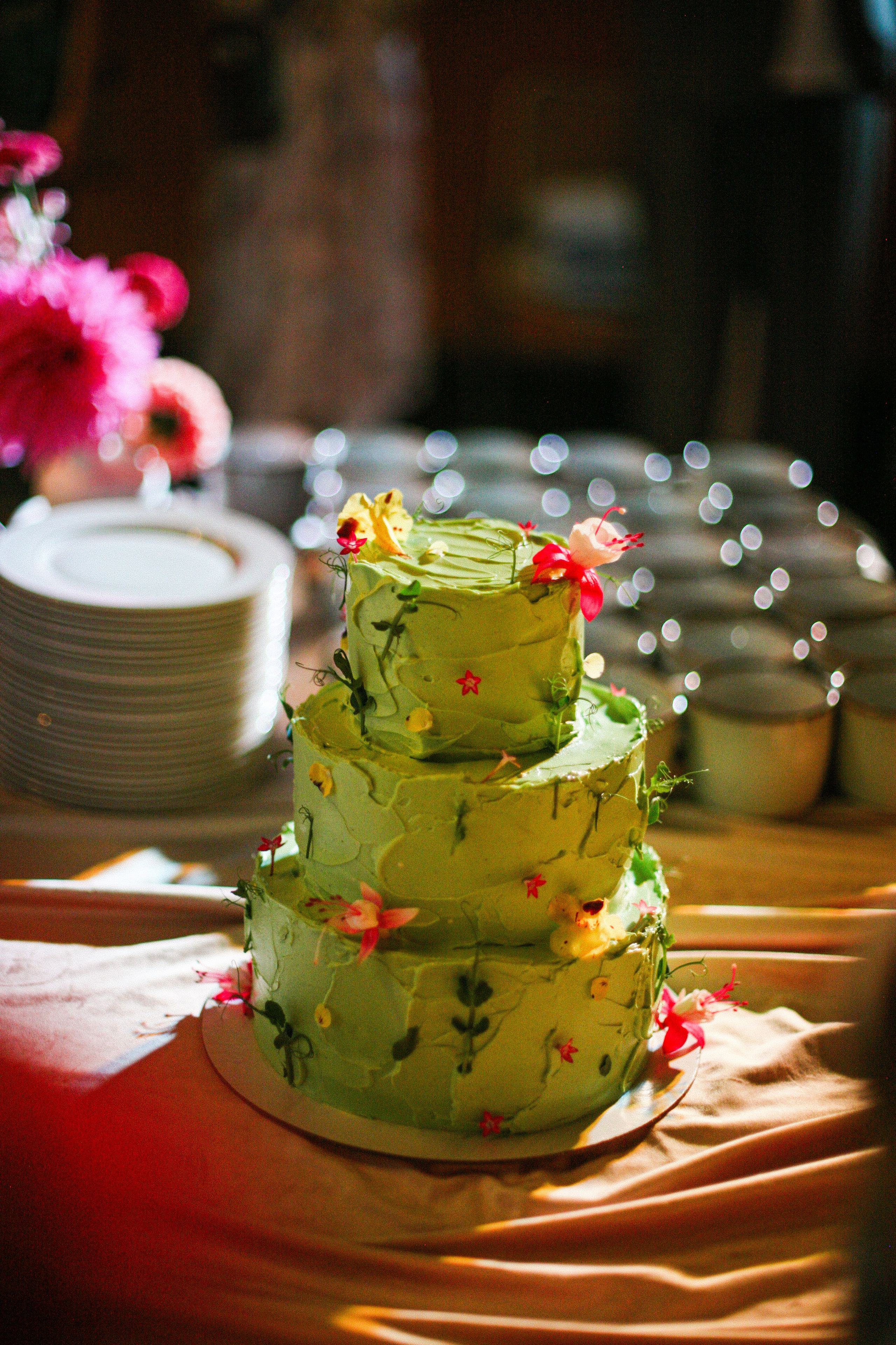 Аня и Кирилл (полный день с росписью). Фотограф Екатерина Максимова: семейные, индивидуальные съемки, свадьбы