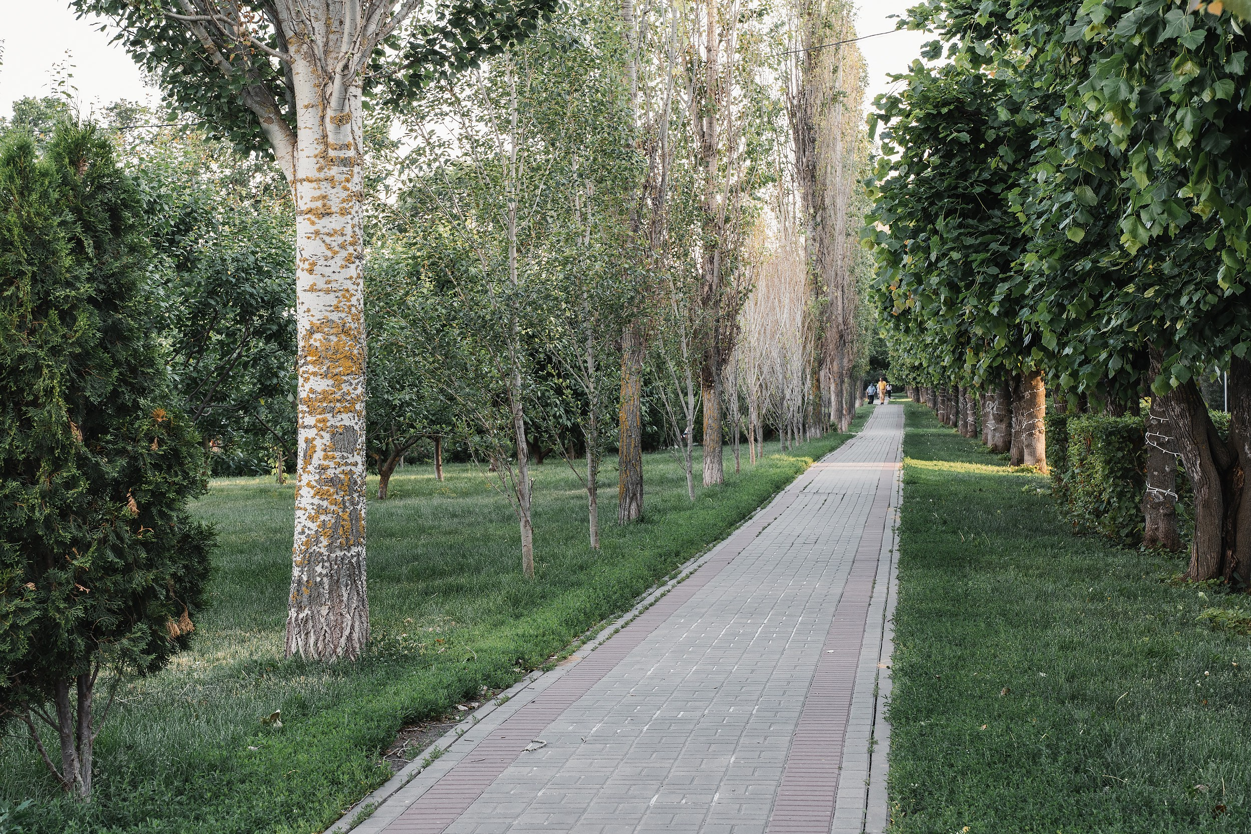 Места для съёмок. Фотограф Александр Решня