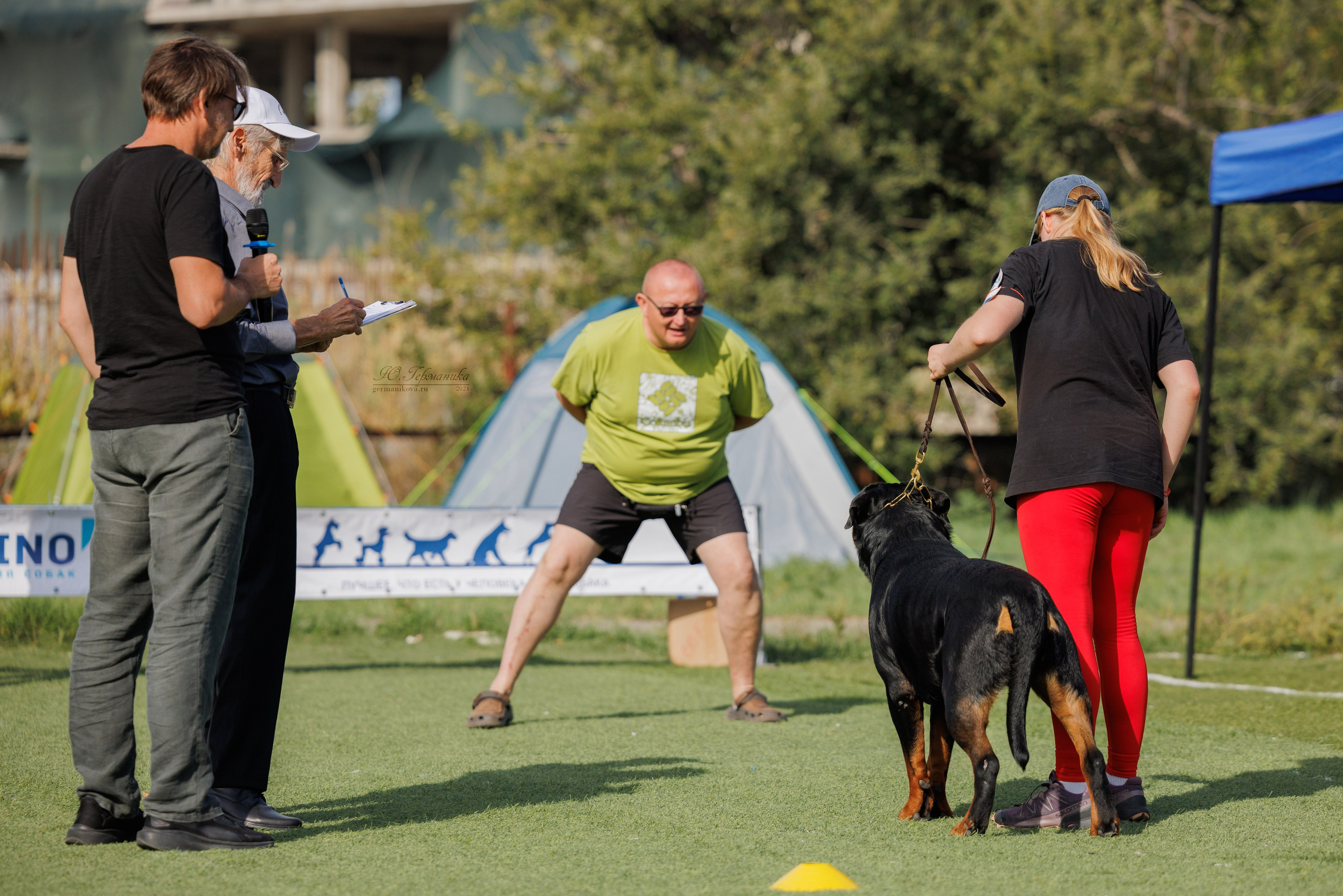 Анапа ротвейлеры 14-15.09.2024. Фотограф-анималист Юлия Германика