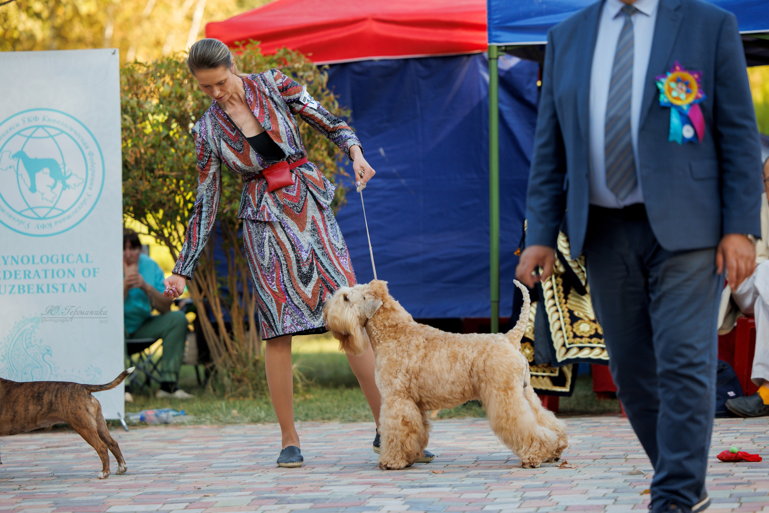Ташкент 3хCACIB 3-5.10.2025. Фотограф-анималист Юлия Германика