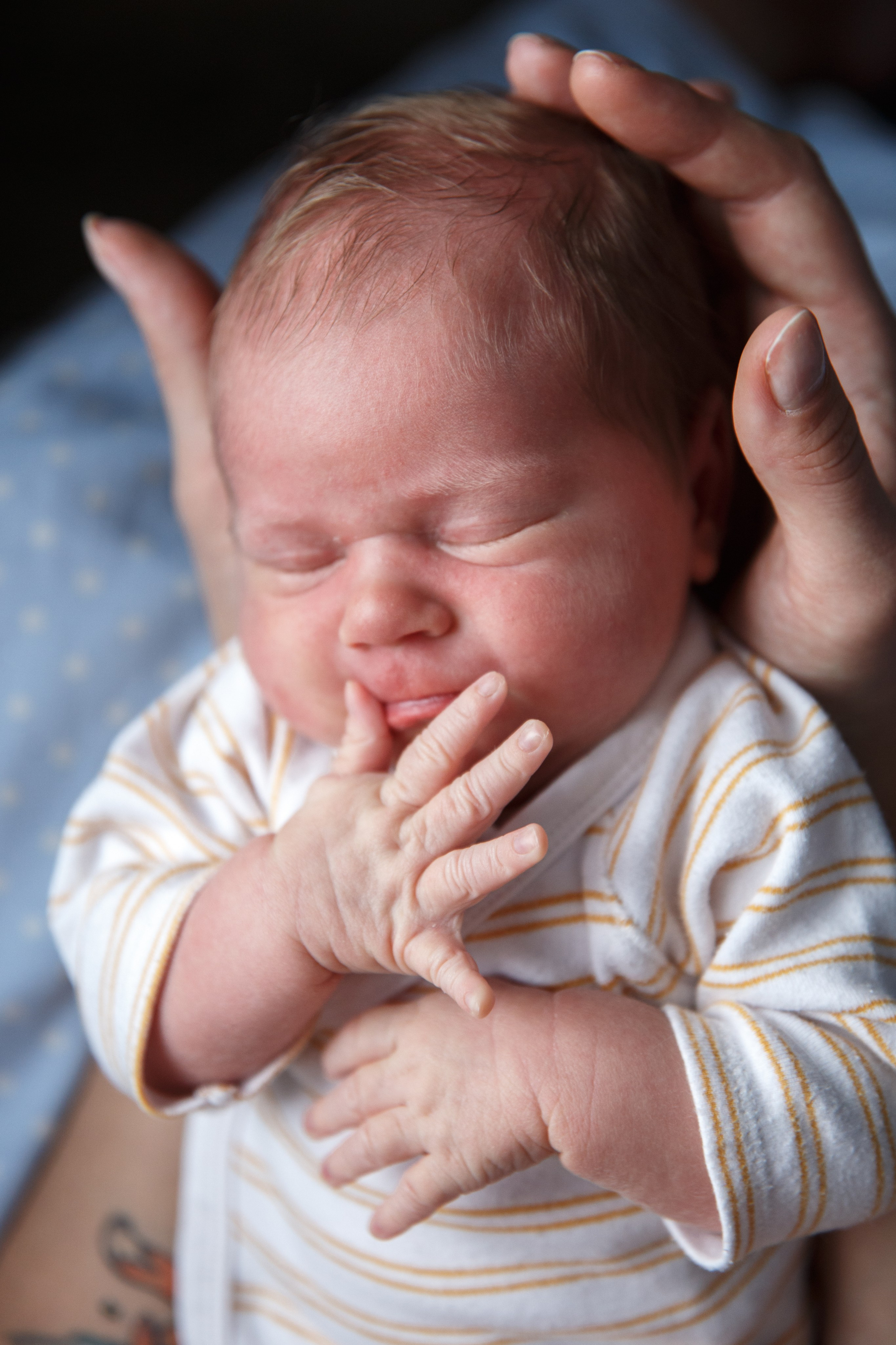 Аврора и Алиса. Семейный и школьный фотограф в Москве Анна Ткач