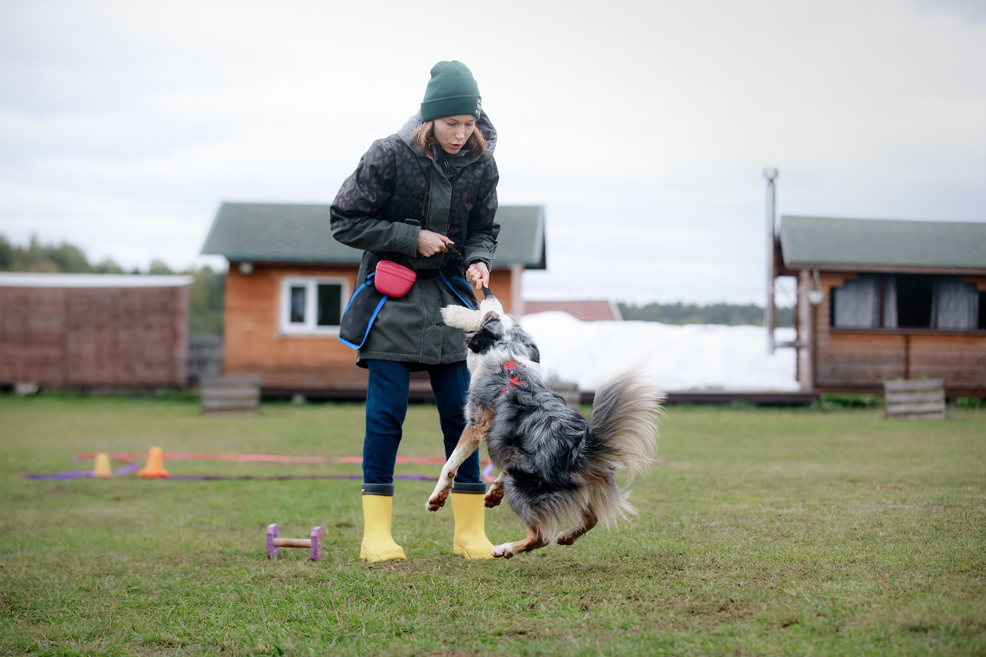 Лагерь по ОБД с Инной Баженовой. Фотограф-анималист Mary Mart — Москва, Питер