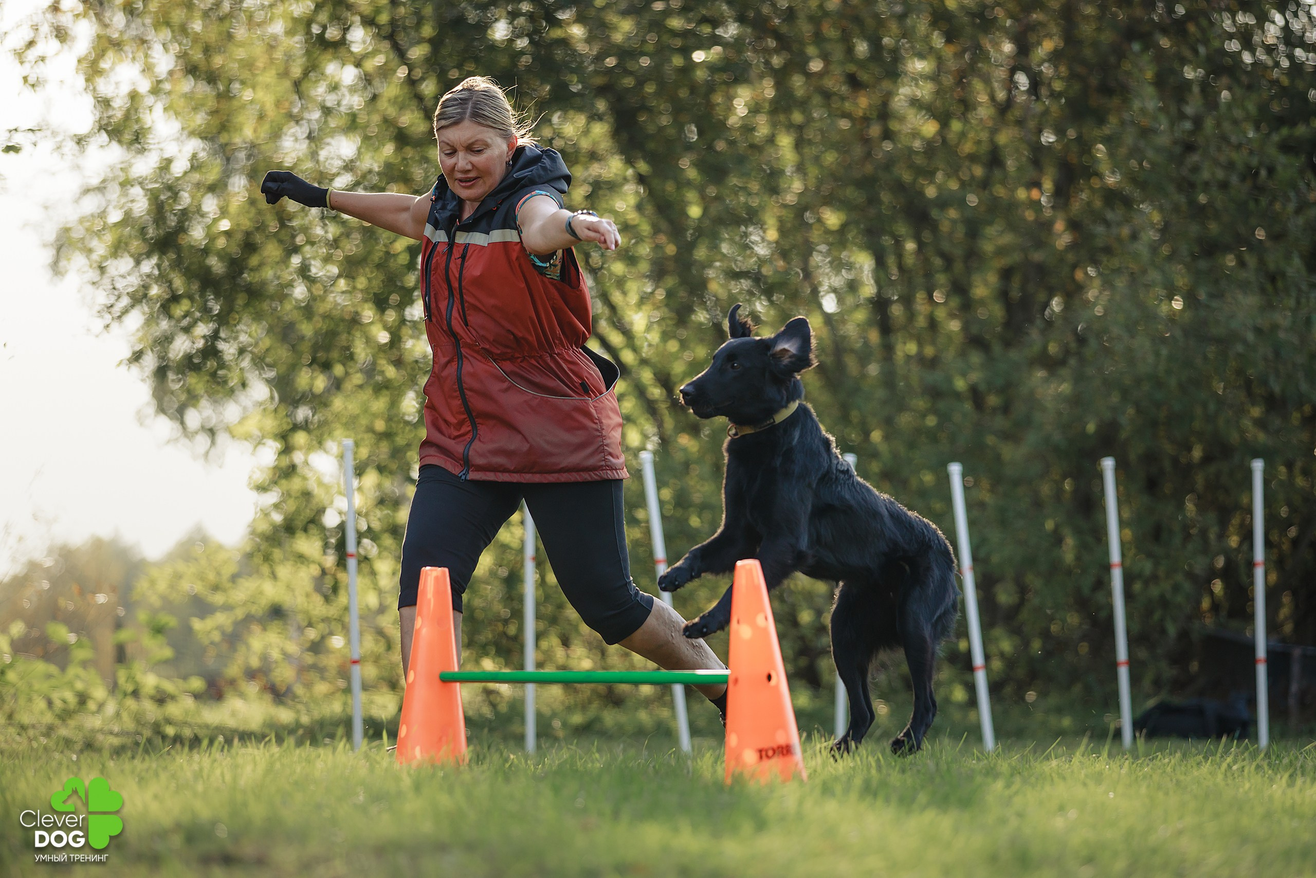 Кинологический лагерь CleverDog, 2024. Фотограф-анималист Mary Mart — Москва, Питер