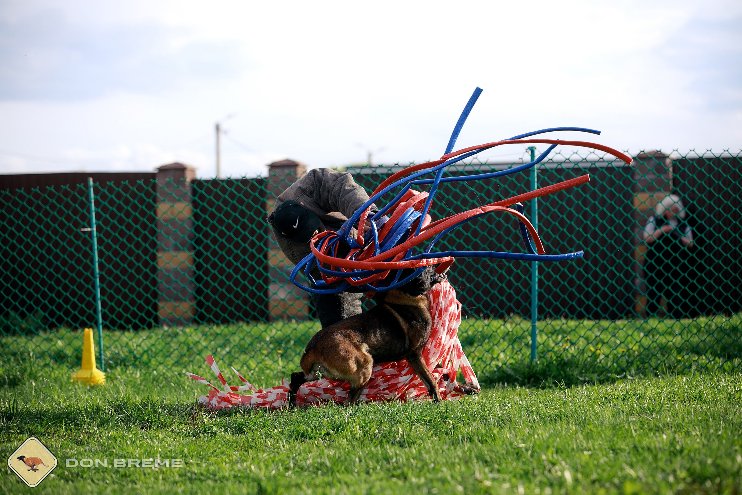 Семинар для фигурантов, день 2. Фотограф-анималист Mary Mart — Москва, Питер