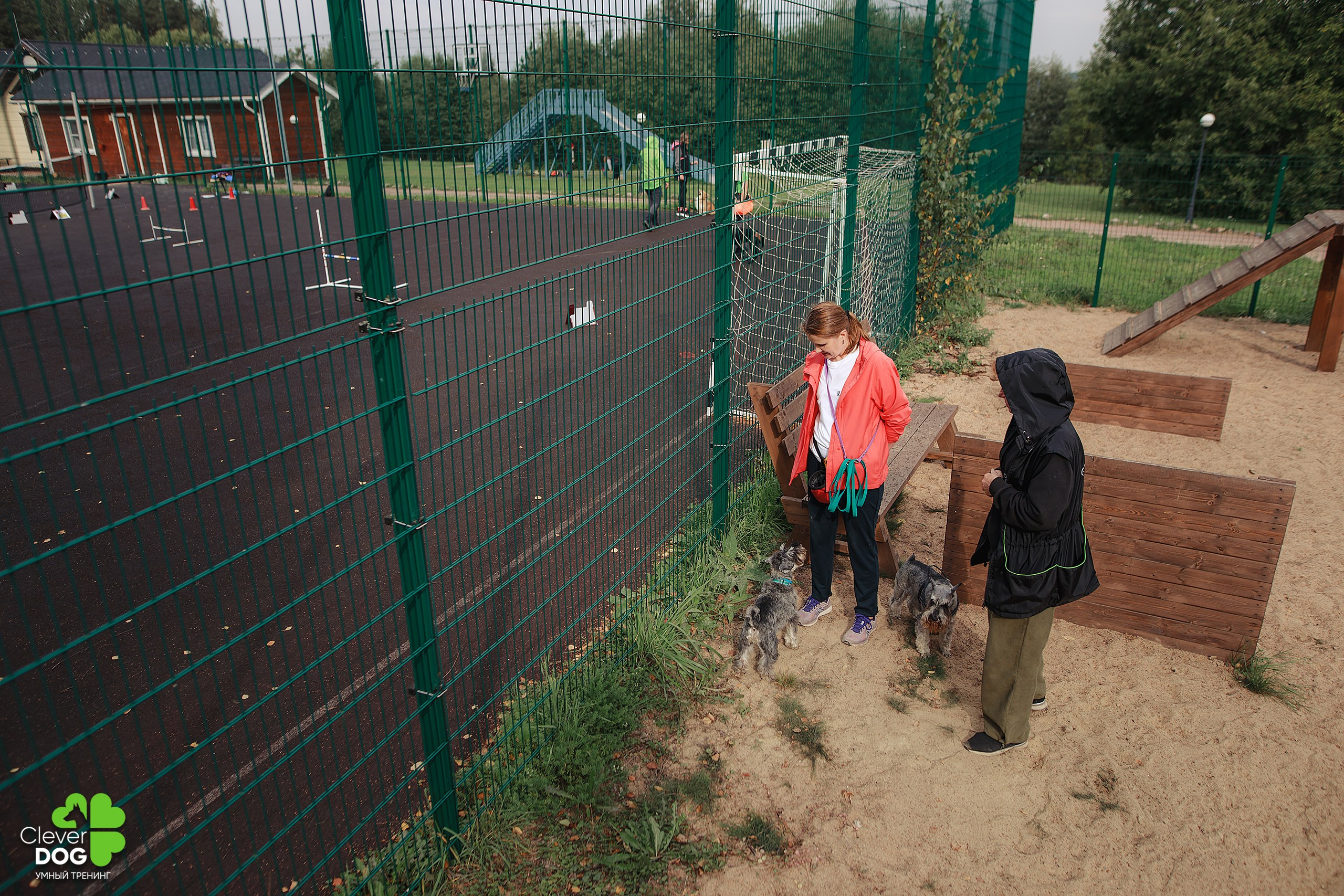 Кинологический лагерь CleverDog, 2024. Фотограф-анималист Mary Mart — Москва, Питер