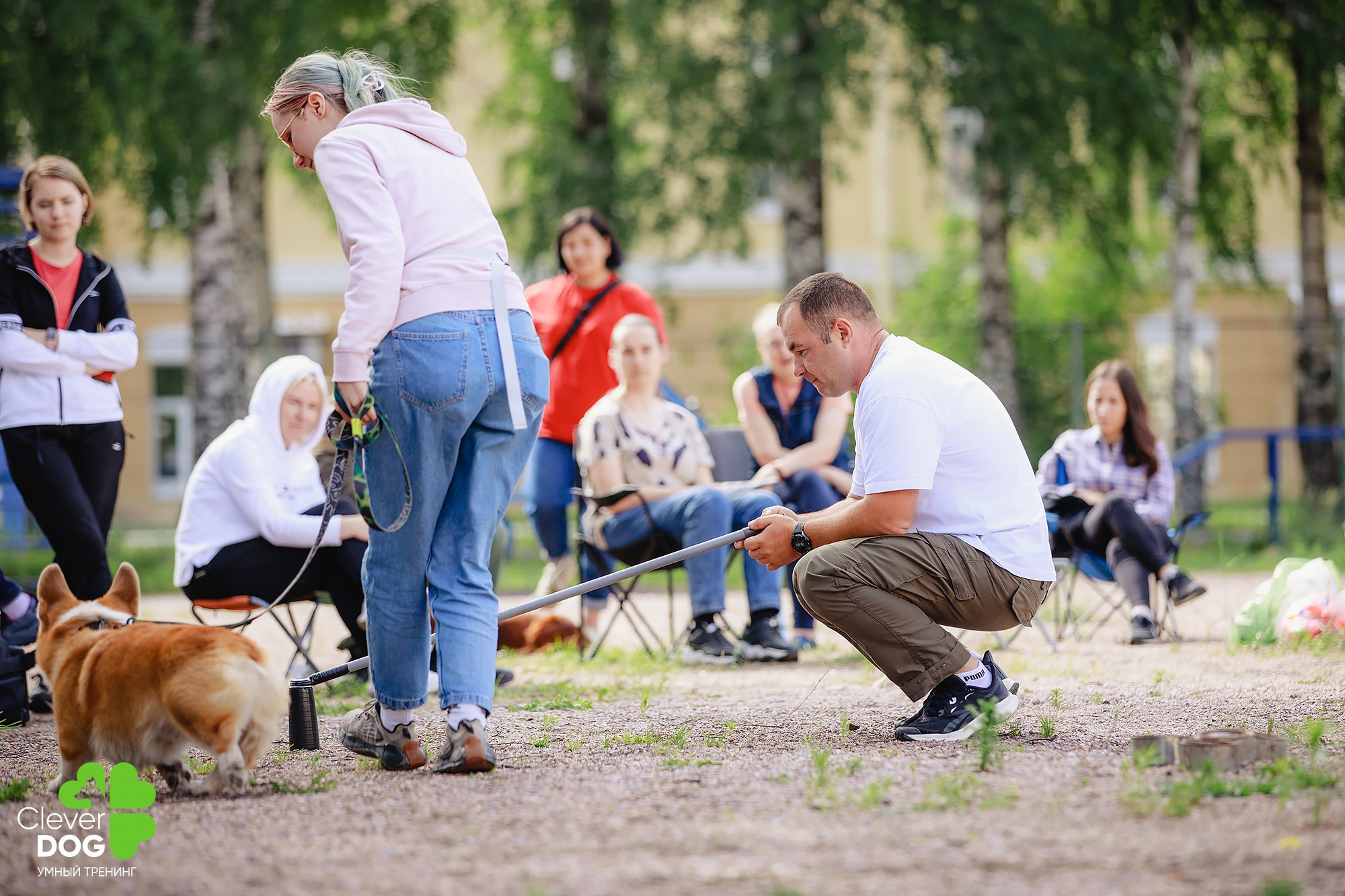 Семинар по поиску запаха с Иваном Ломовым, организатор CleverDog, СПб. Фотограф-анималист Mary Mart — Москва, Питер