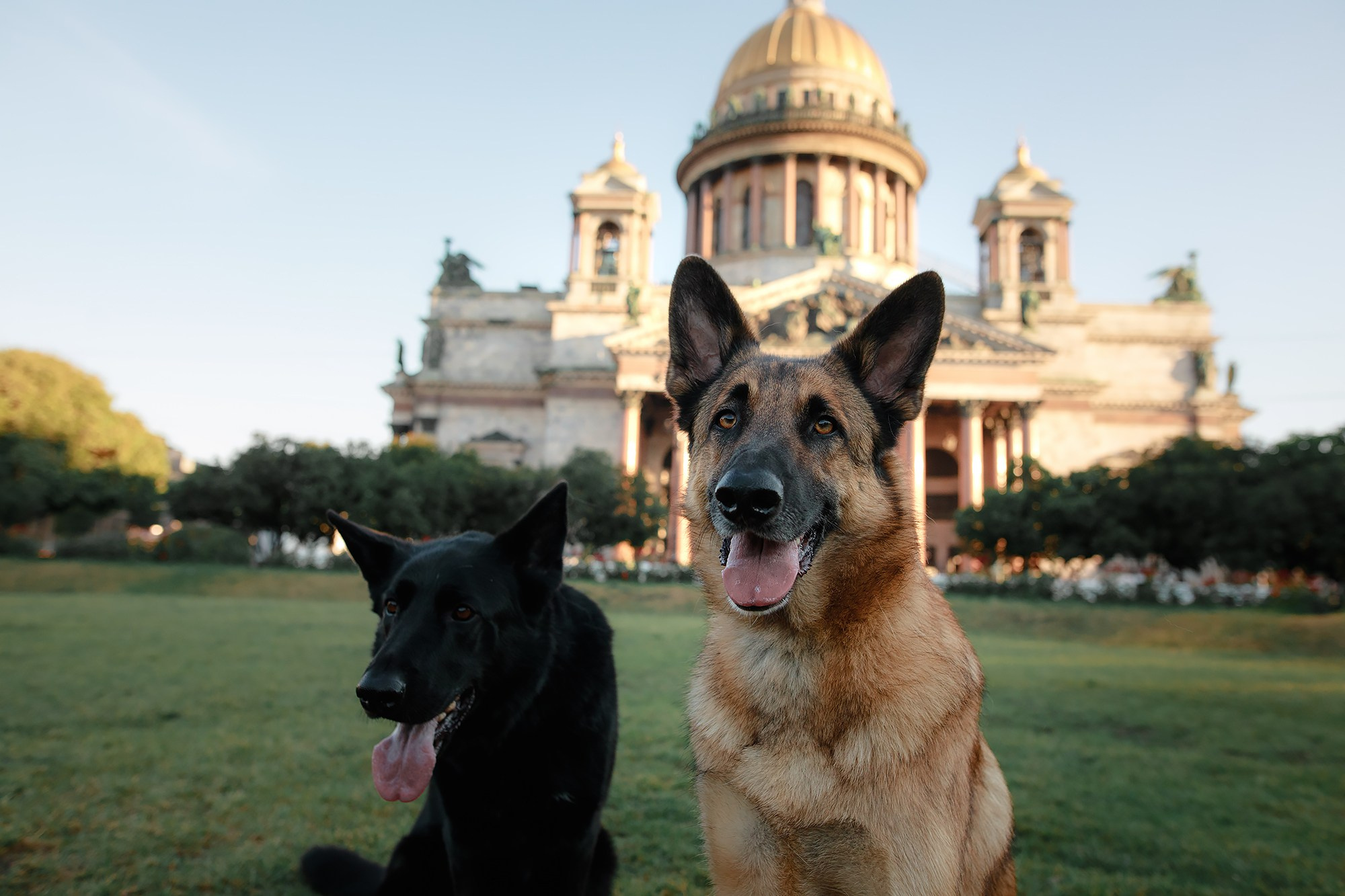 Алена, Кай и Мара. Фотограф-анималист Mary Mart — Москва, Питер