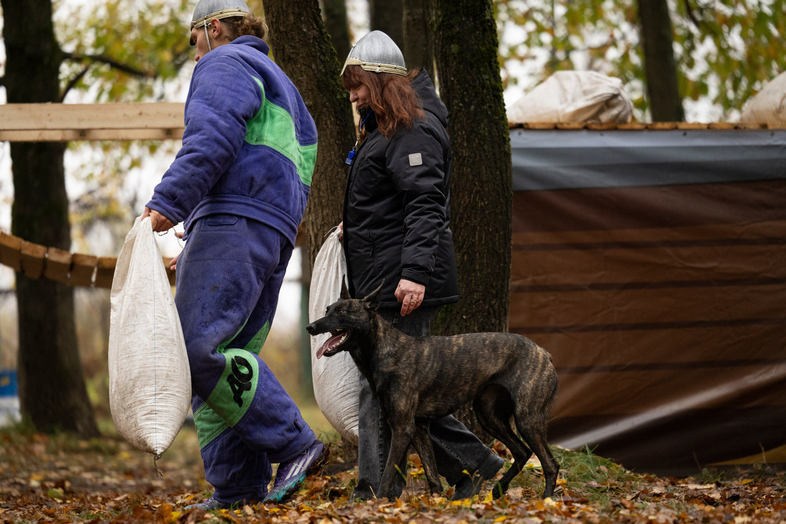 Соревнования по Мондьорингу г. Вологда. Фотограф-анималист Анна Маринич