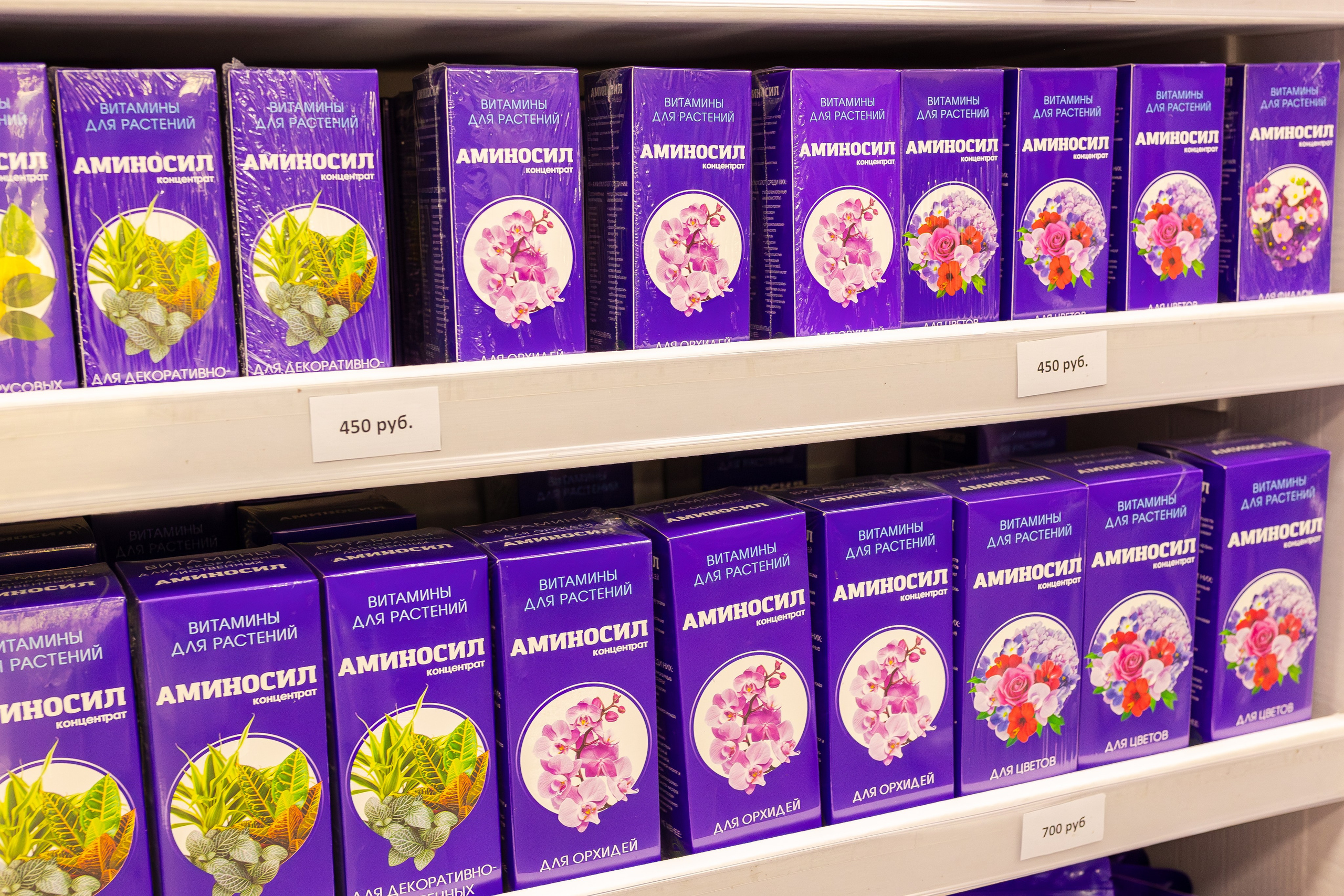 Орхидиум сентябрь 2025. Александра Куликова фотограф, Москва