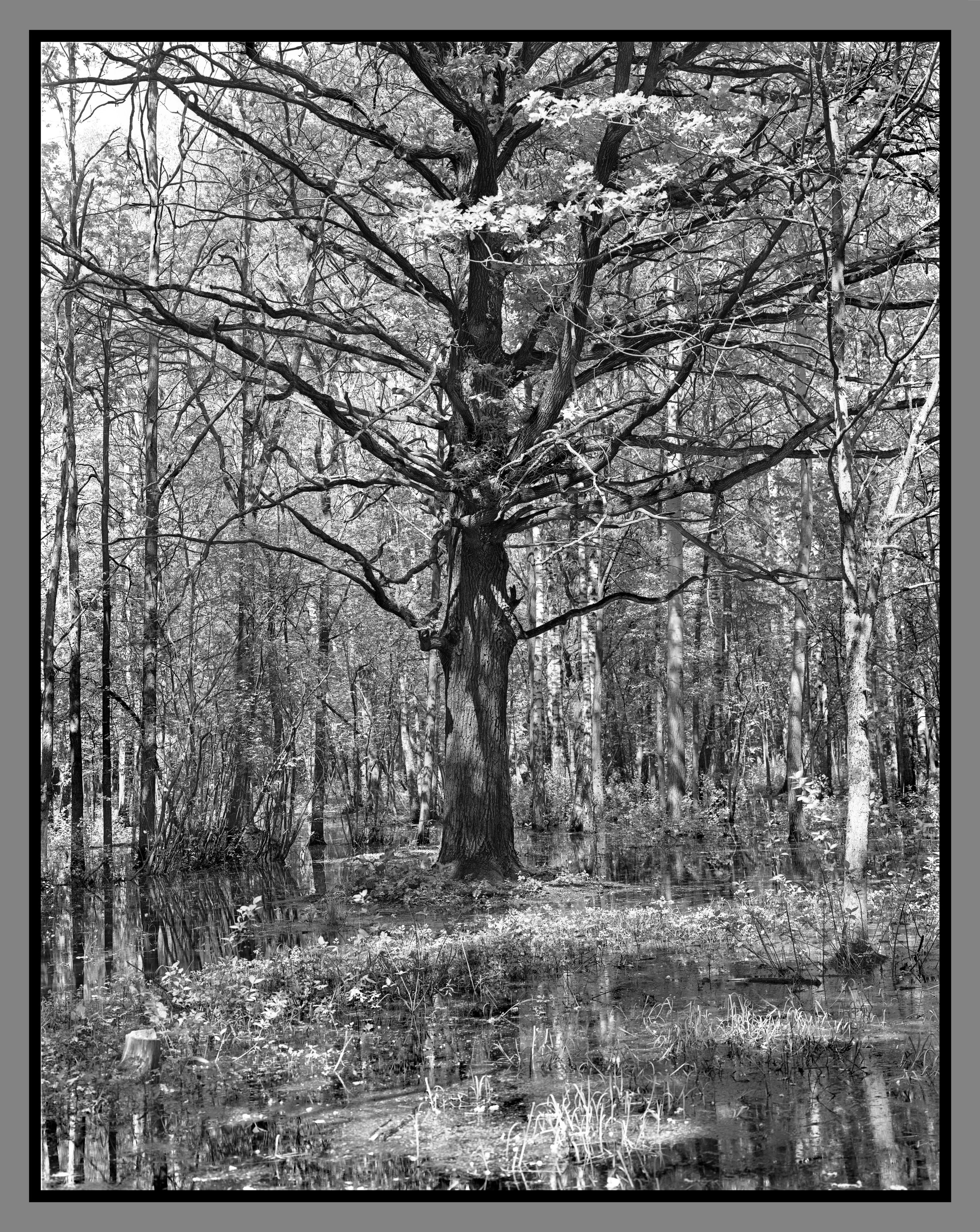 Author’s photo works in the ambrotype technique! Analog photography. Sergey Kondriuk art-photographer | artist