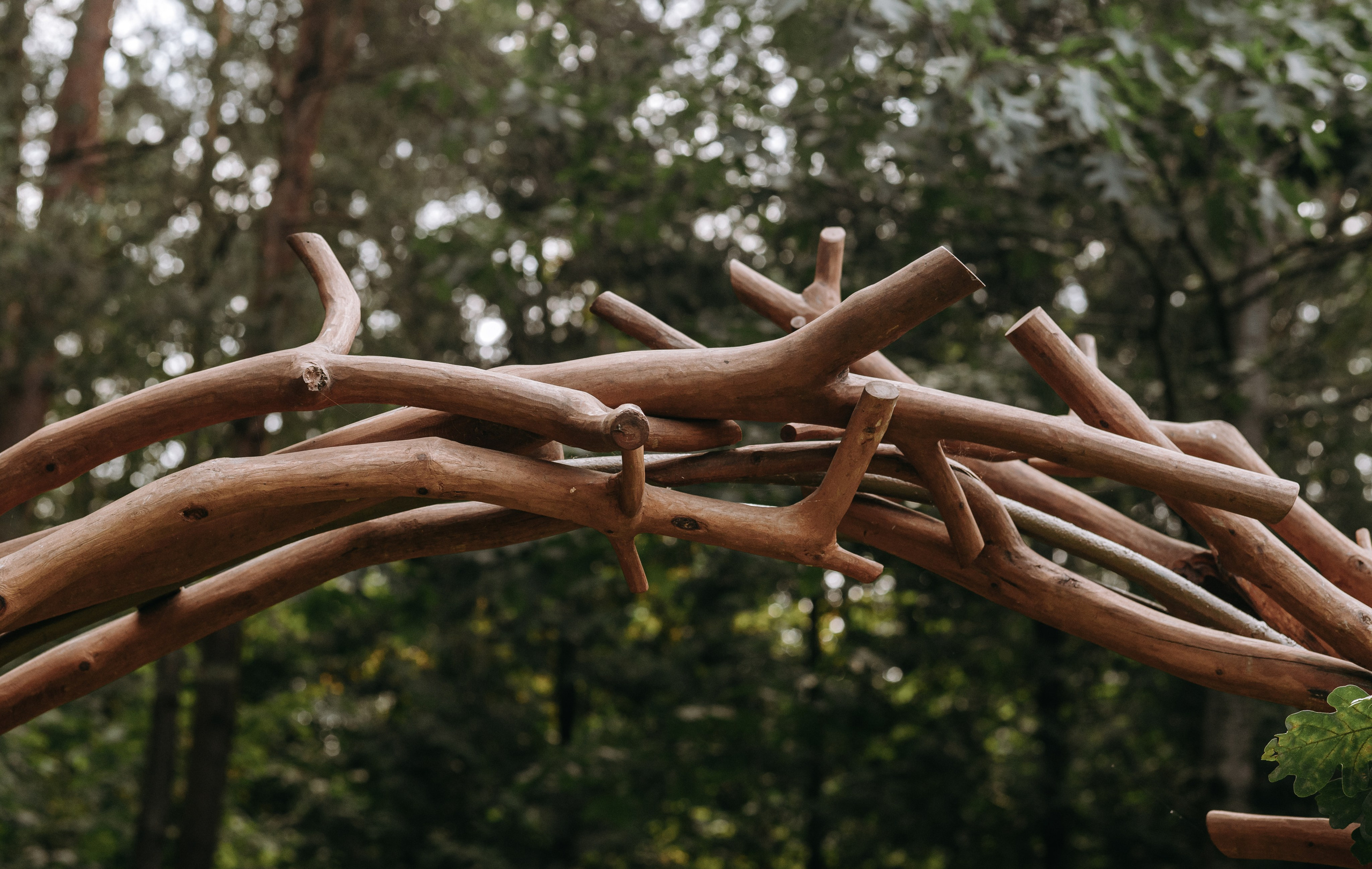 Лесная Поляна. Свадебный фотограф в Минске Вадим Бурчик