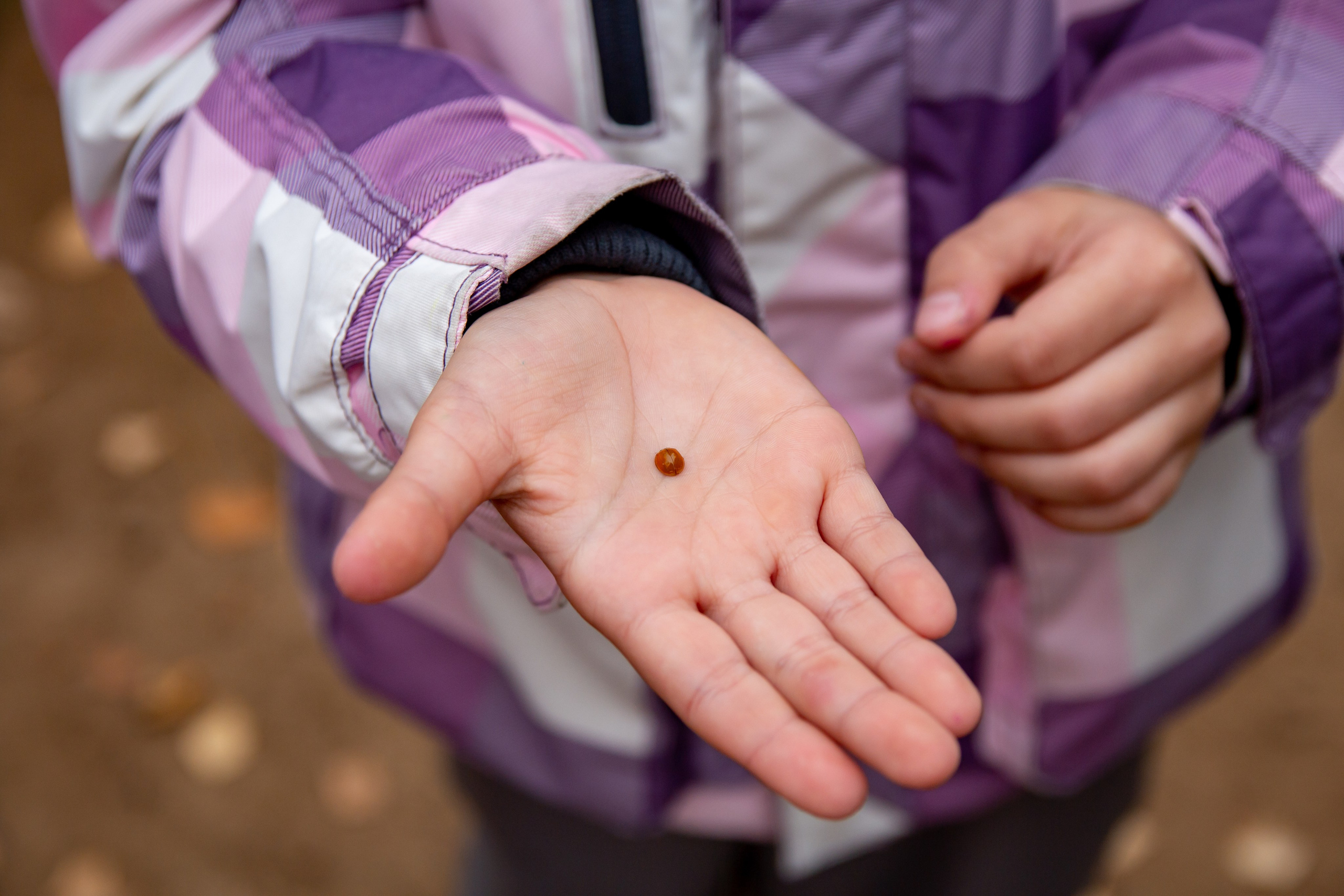 Съемки жизни в детском саду. Выпускные альбомы в Обнинске