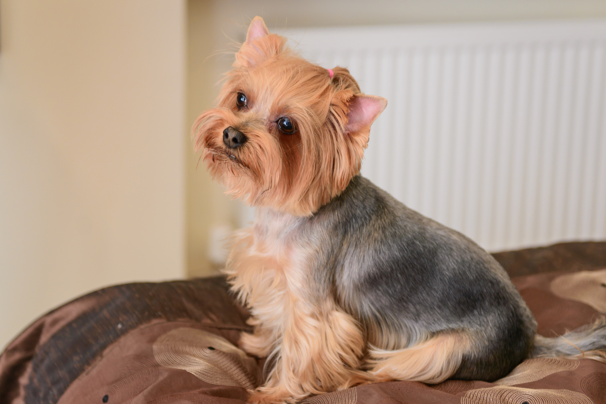 Артур и Елена. Свадебный и семейный фотограф в Москве Юлия Винник