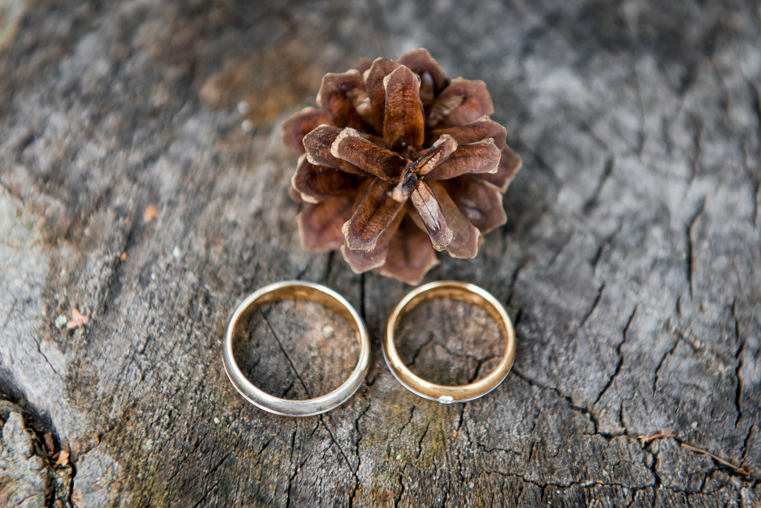 Артур и Юлия. Свадебный и семейный фотограф в Москве Юлия Винник