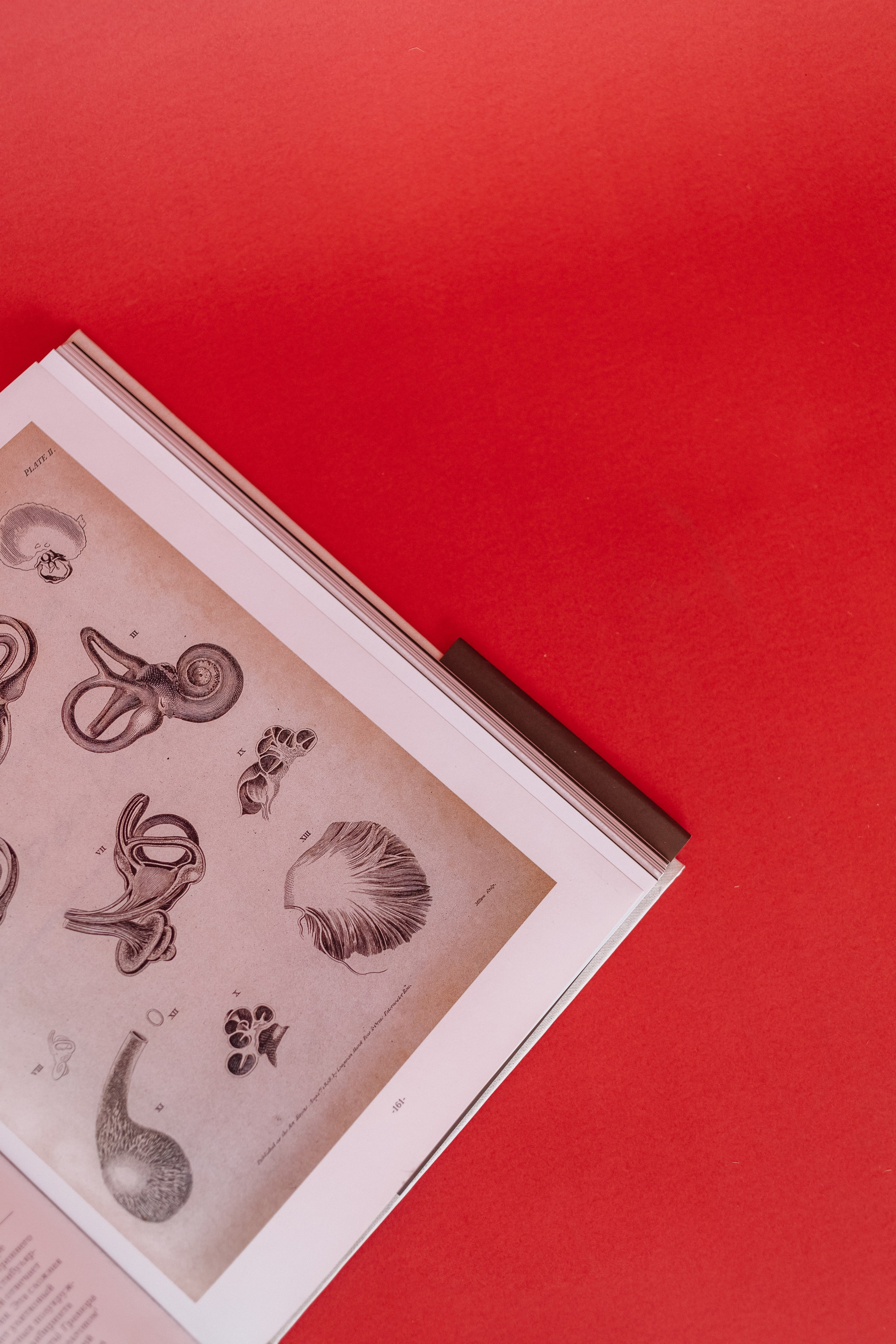 Фотосессия для невролога | Контент-фотограф Анна Островская. КОНТЕНТ ФОТОГРАФ