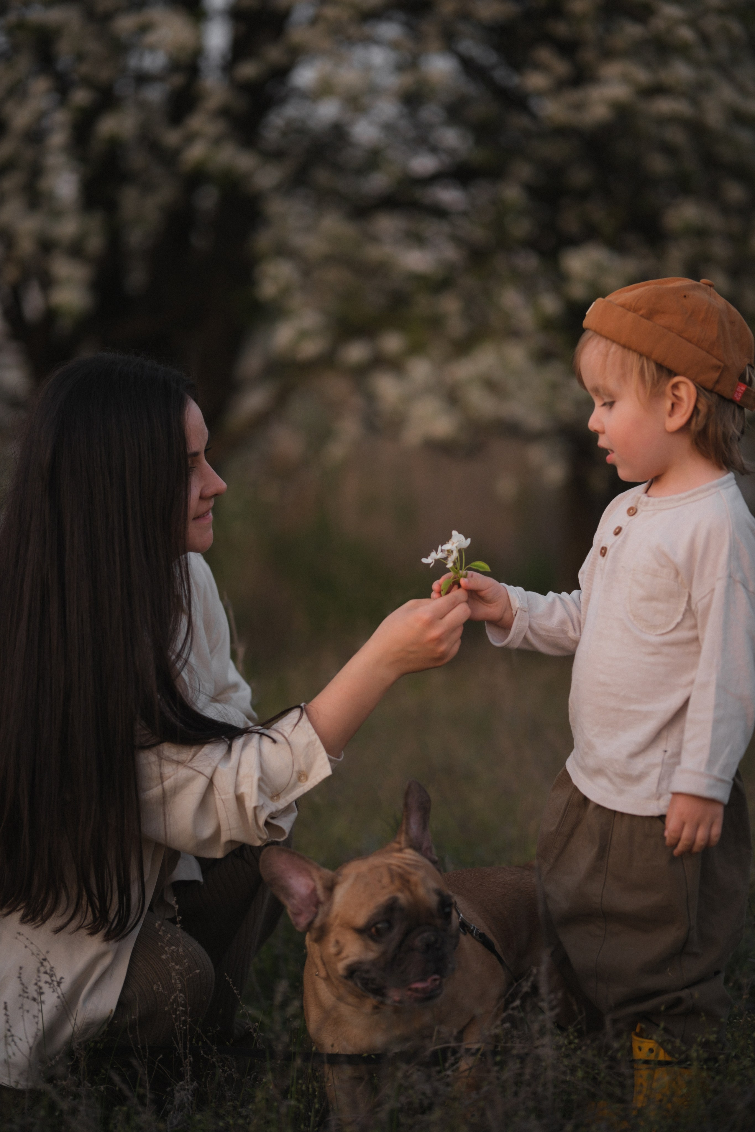 Катя, Глеб и Буч. Свадебный и семейный фотограф в Волгограде