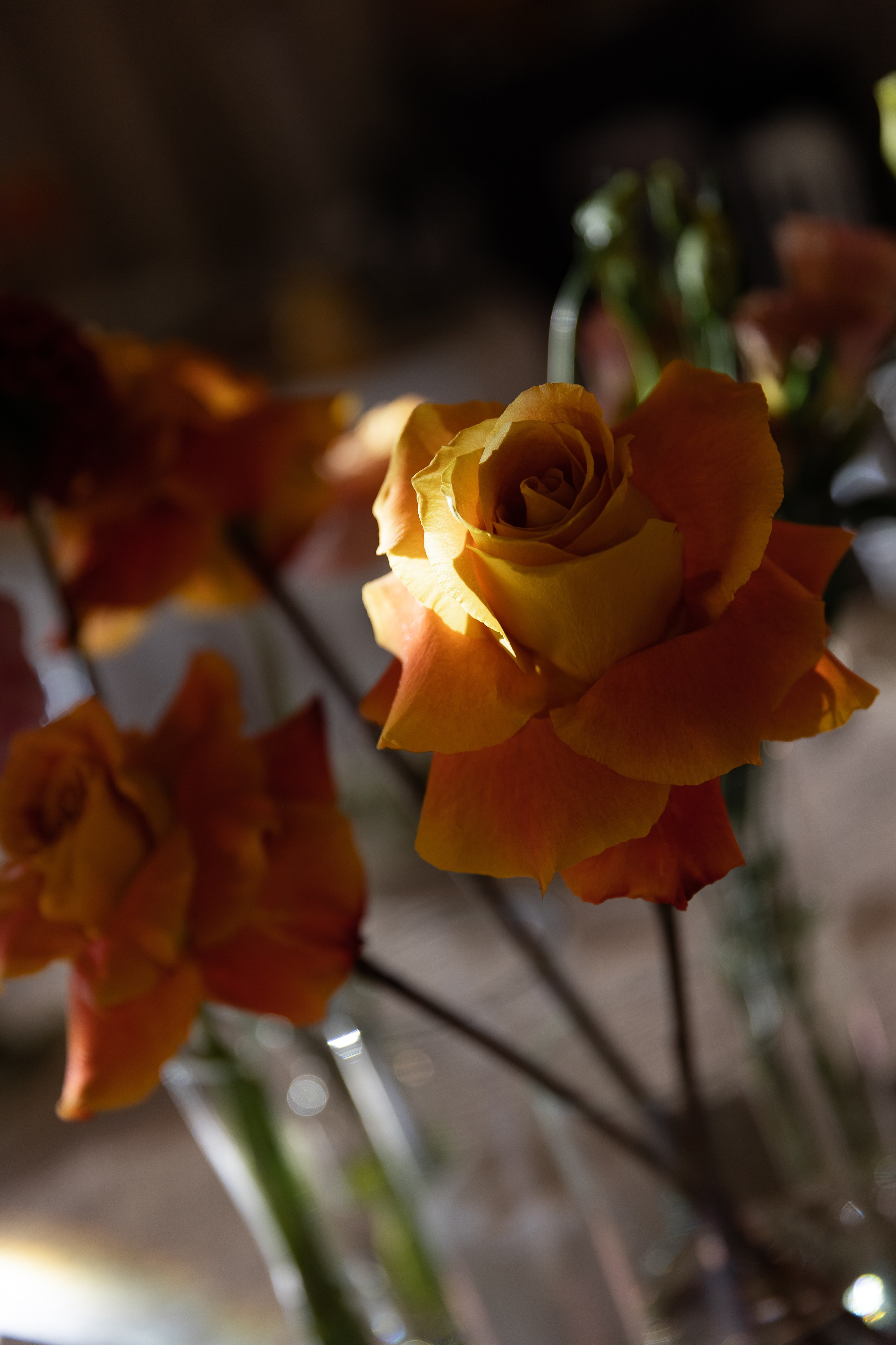 Р&Г. Свадебный фотограф