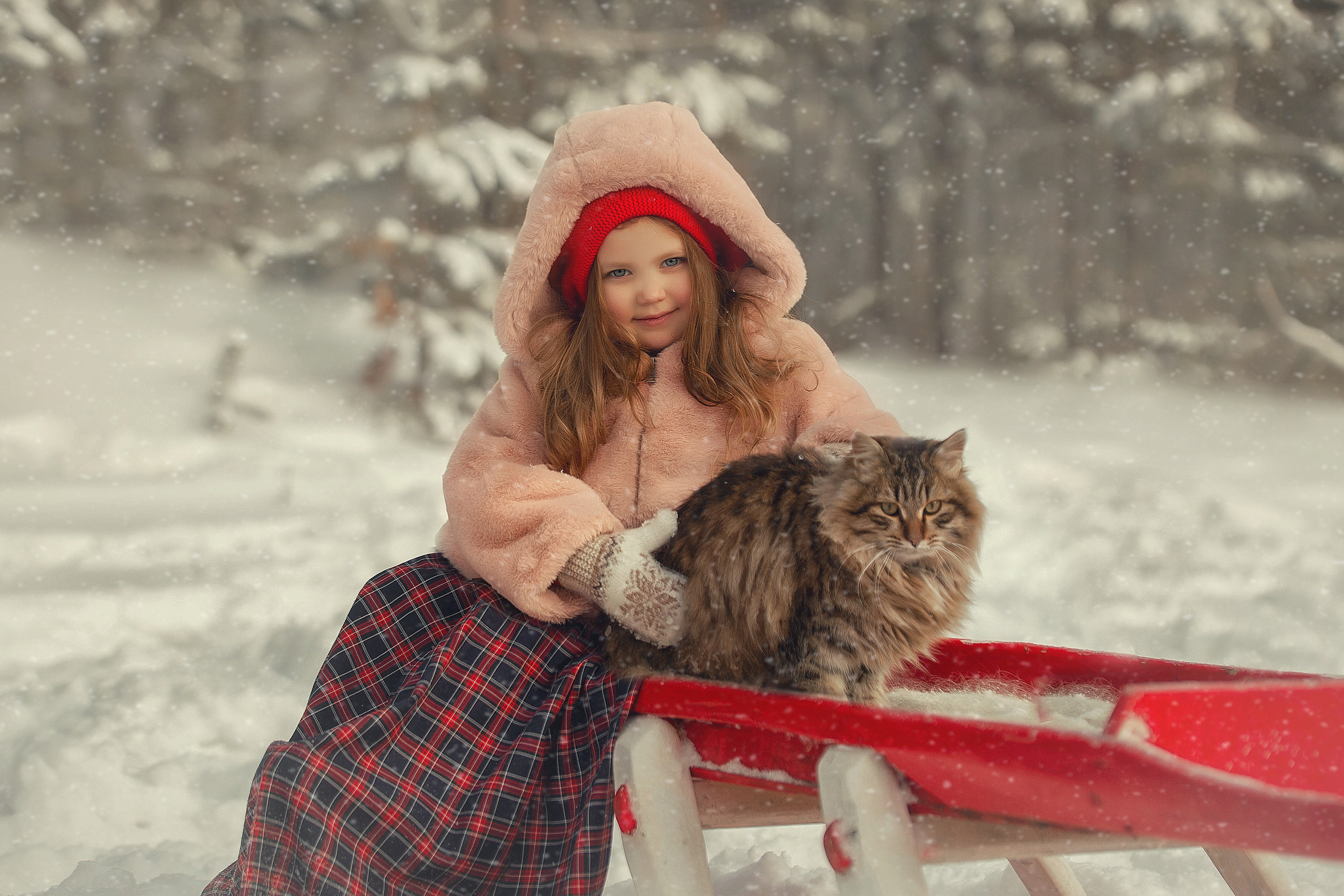 На ферме!. Индивидульный, семейный и детский фотограф в Тюмени Елена Пахомычева