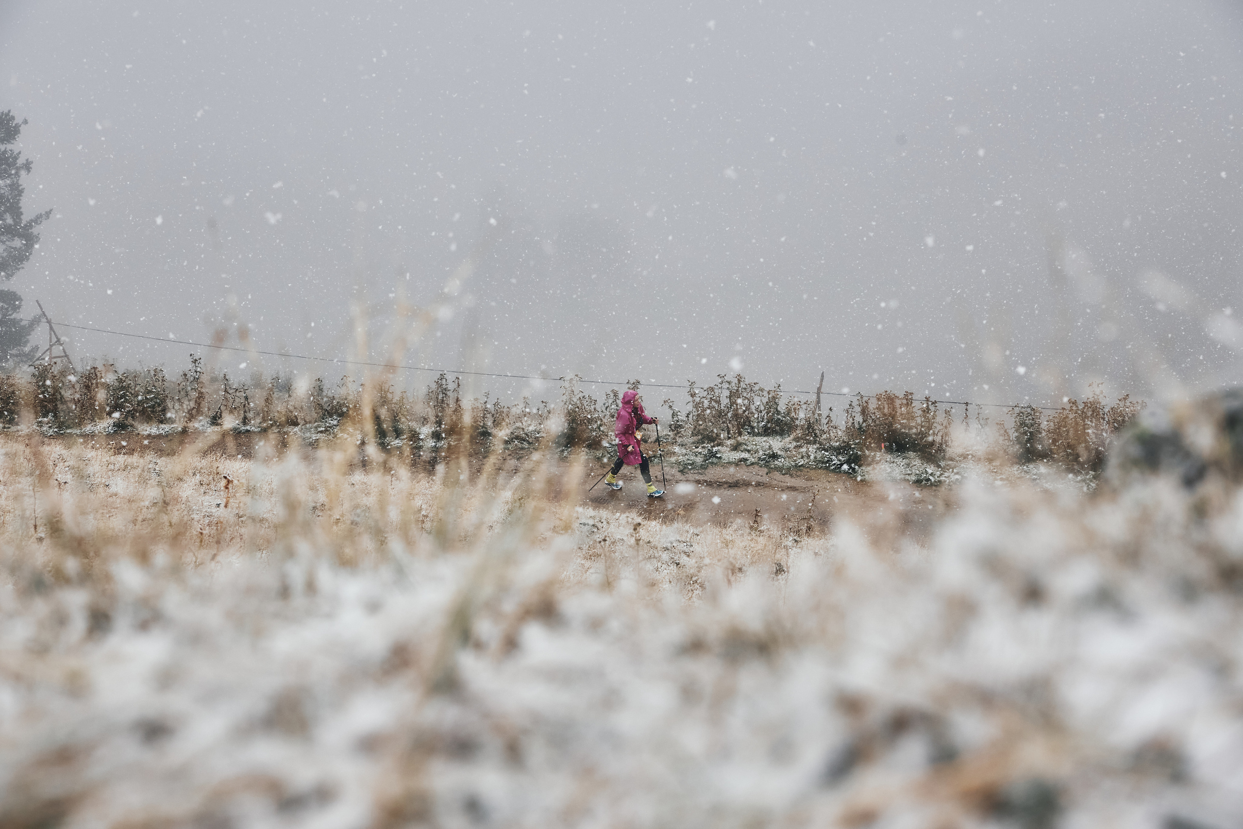 Alpindustria Trail Series. Горный фотограф на Кавказе Никита Першин