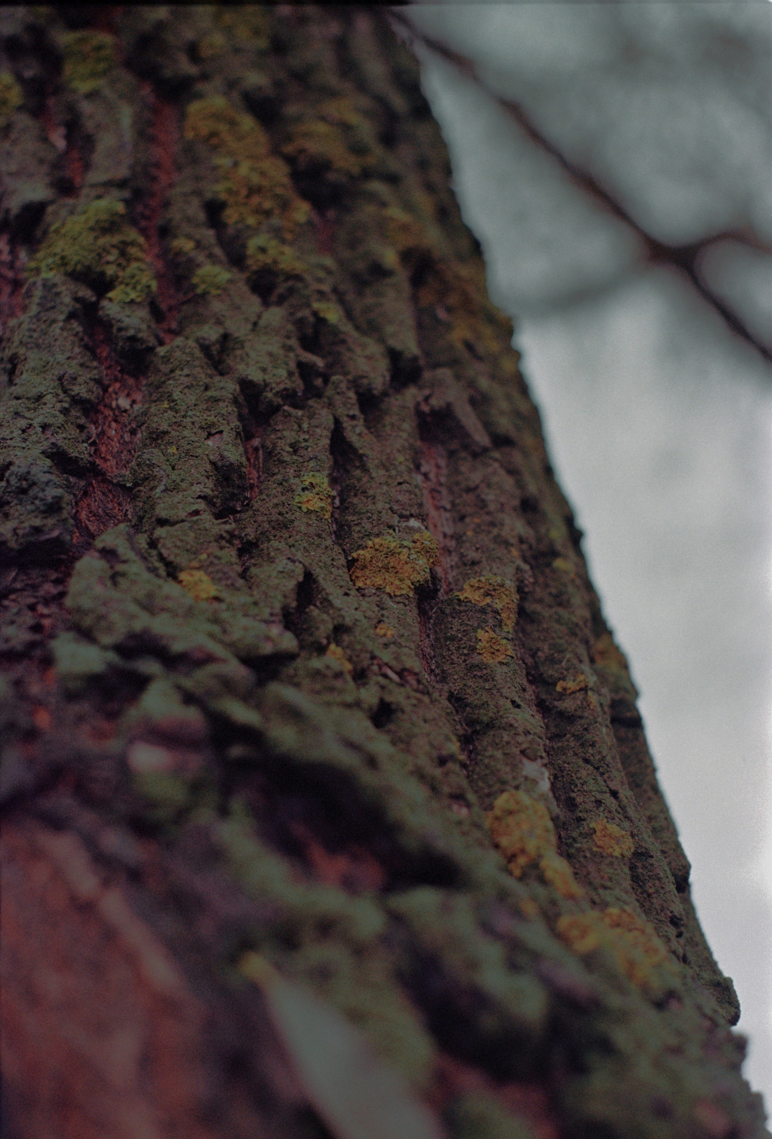 Vi. Стилист и плёночный фотограф Анастасия Шлокова в Санкт-Петербурге и Москве