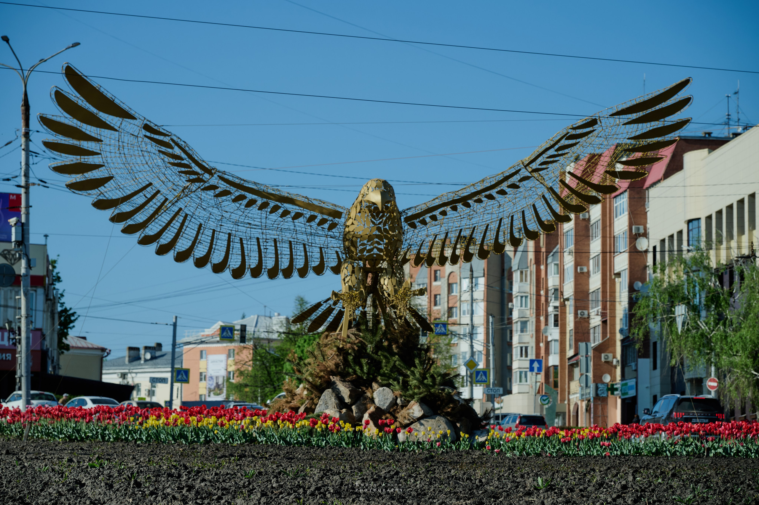 Орел. Апрель 2024. Фотограф Роман Адлер