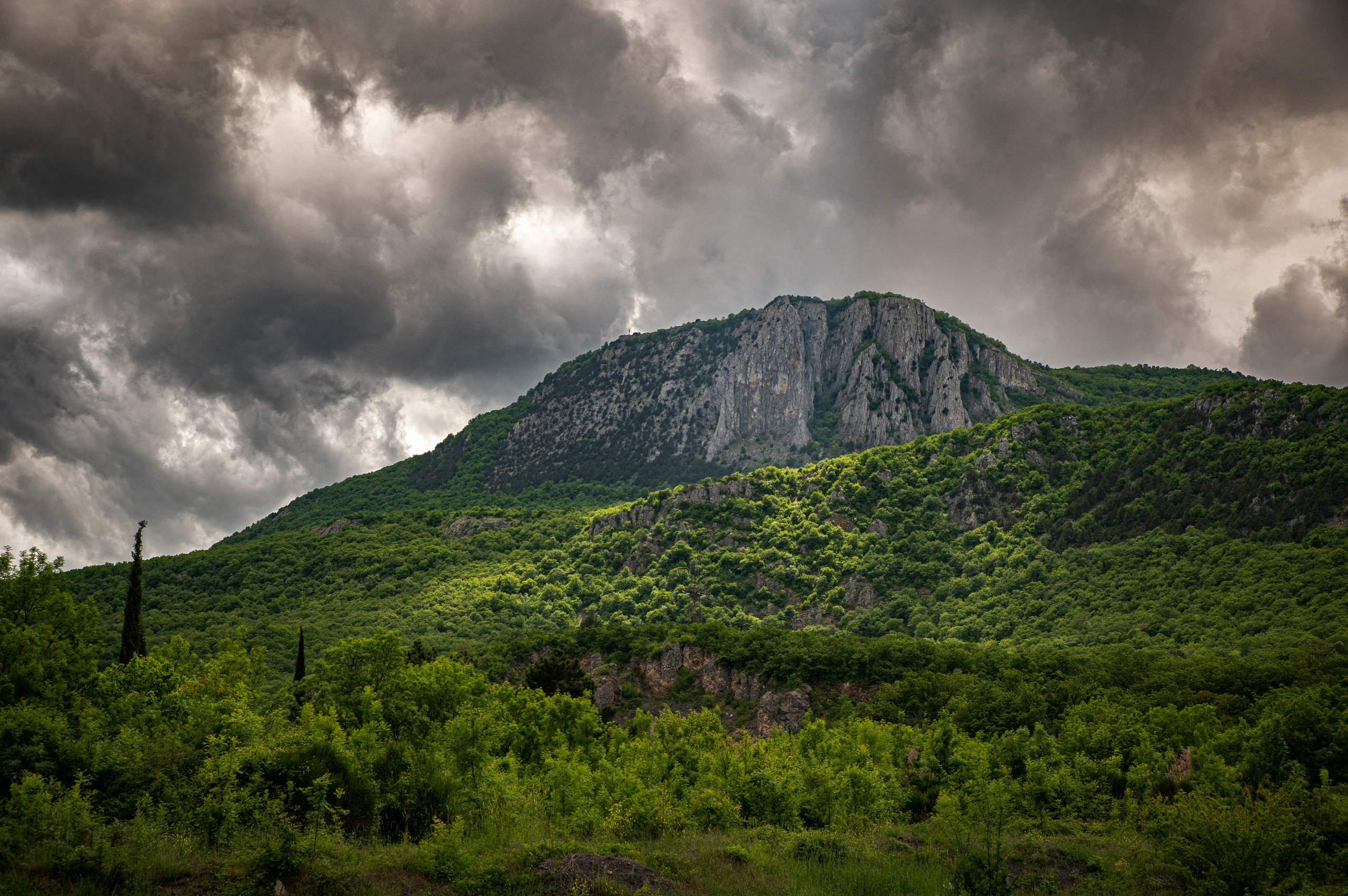 Крым май 2022. Фотограф Роман Адлер