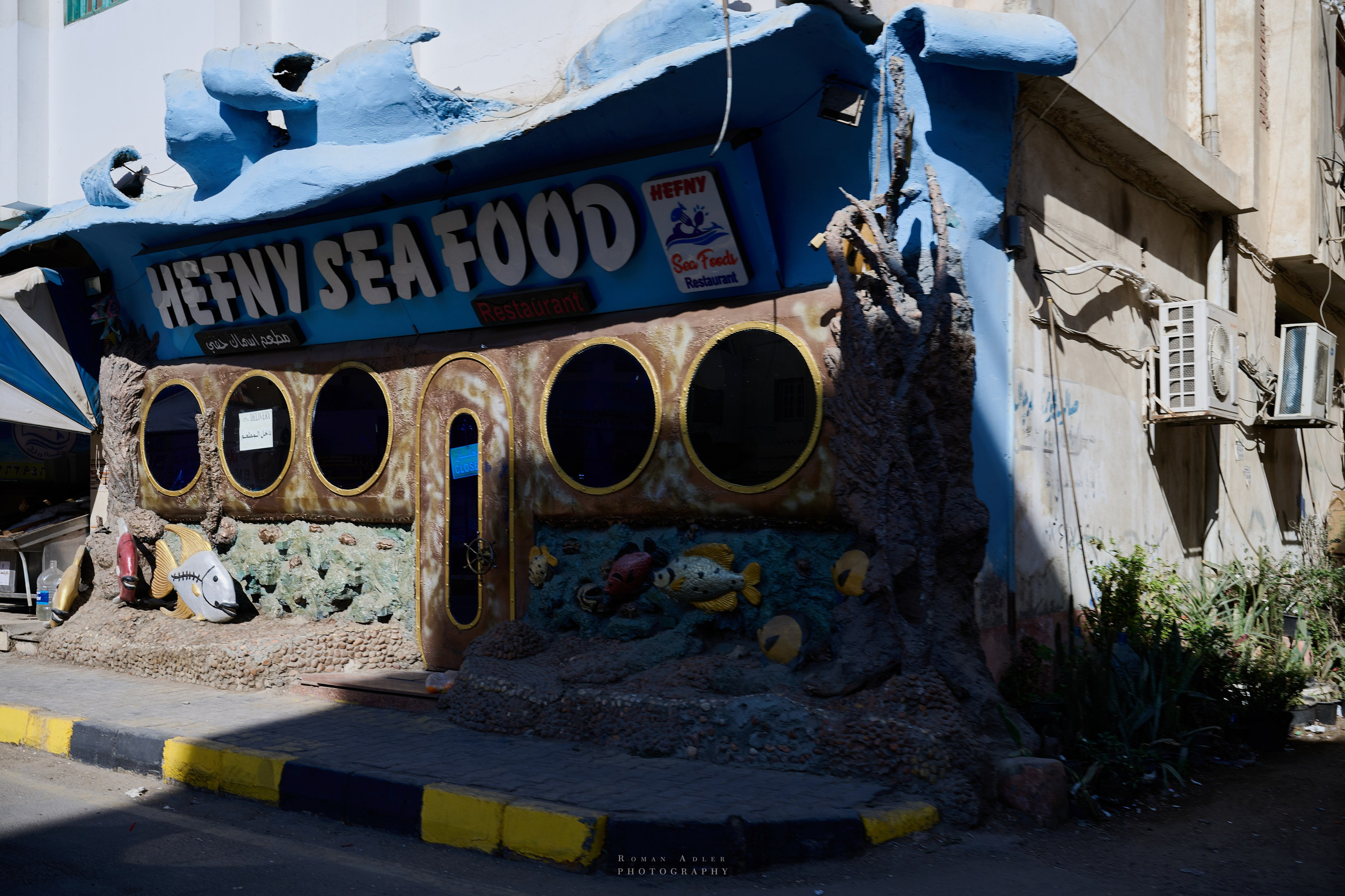 Хургада. Февраль 2025. Фотограф Роман Адлер