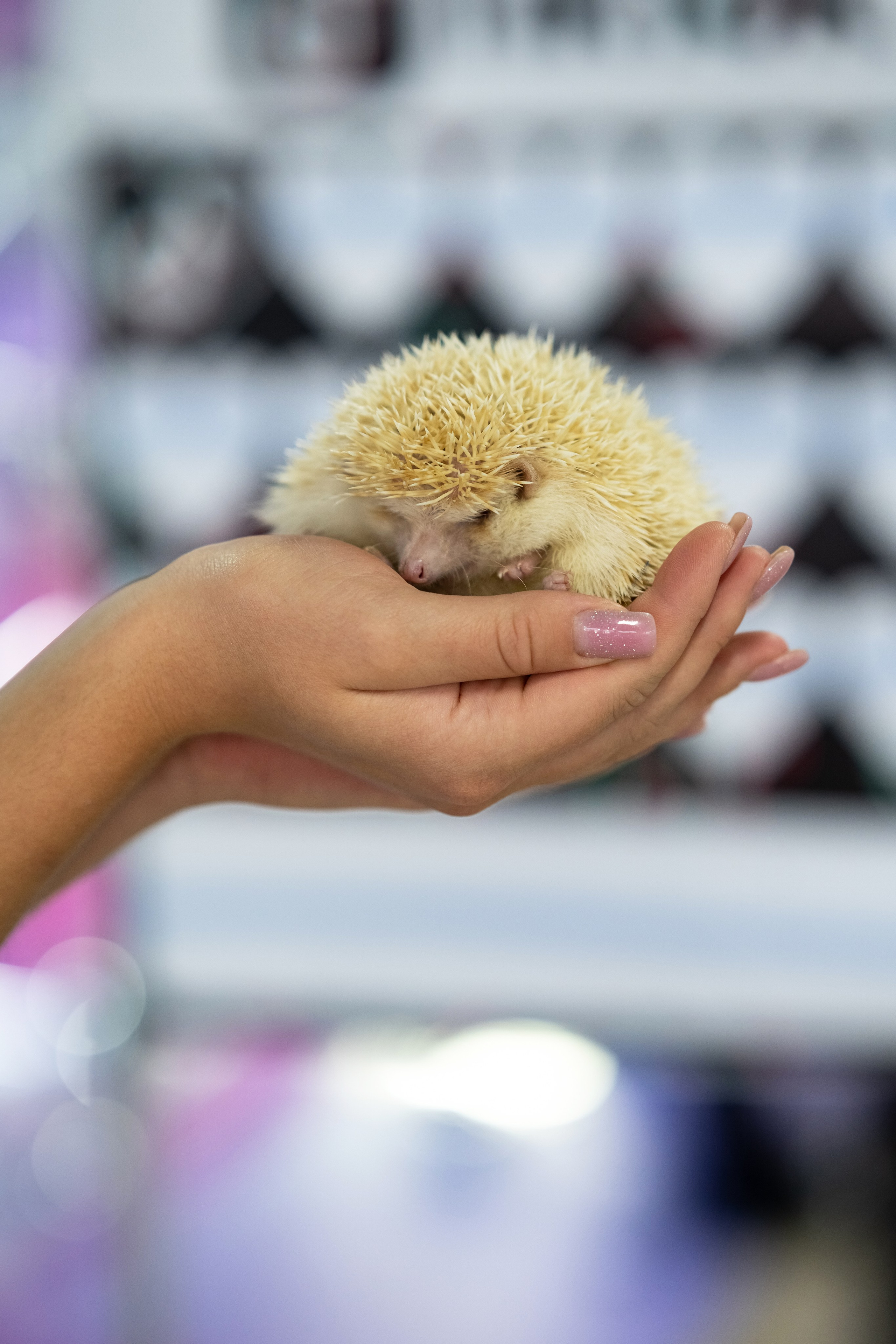 Tik Tok вечеринка. Фотограф в Одинцово, Москве